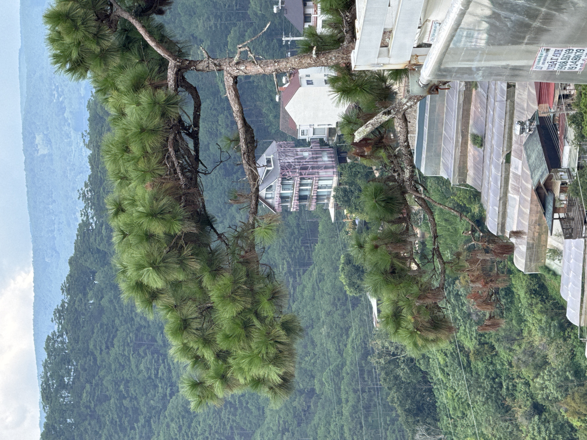 Da Lat's pine hills, colonial architecture, and highland cafe life