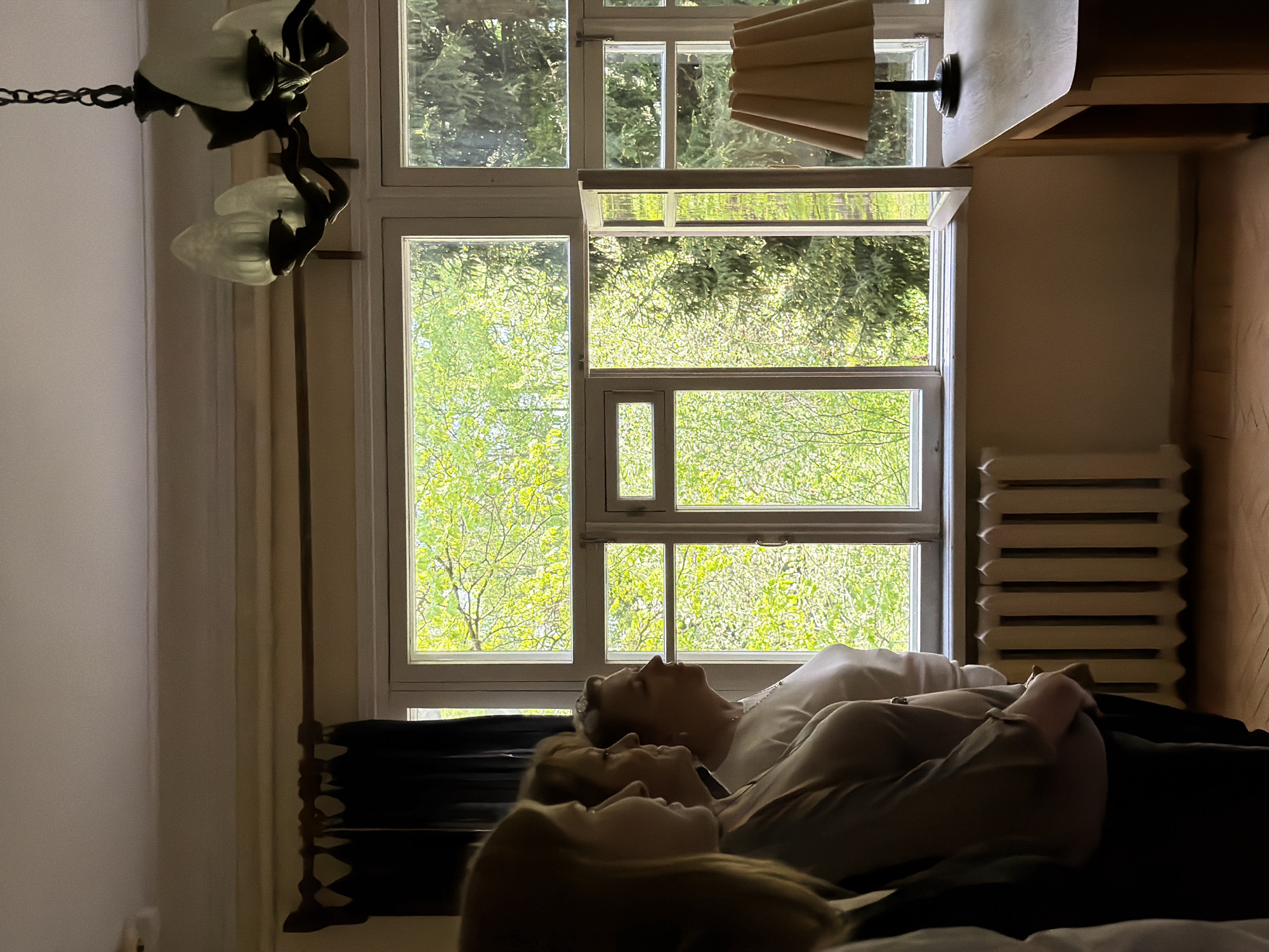 Indoor scenes with windows, trees captured near Moscow suburbs