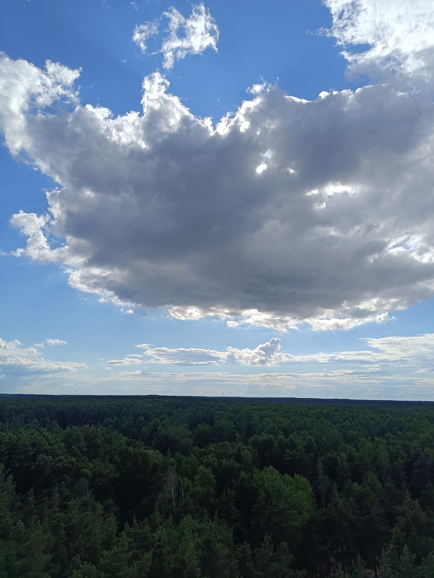 Forest and skyline views from Riga's wooded outskirts