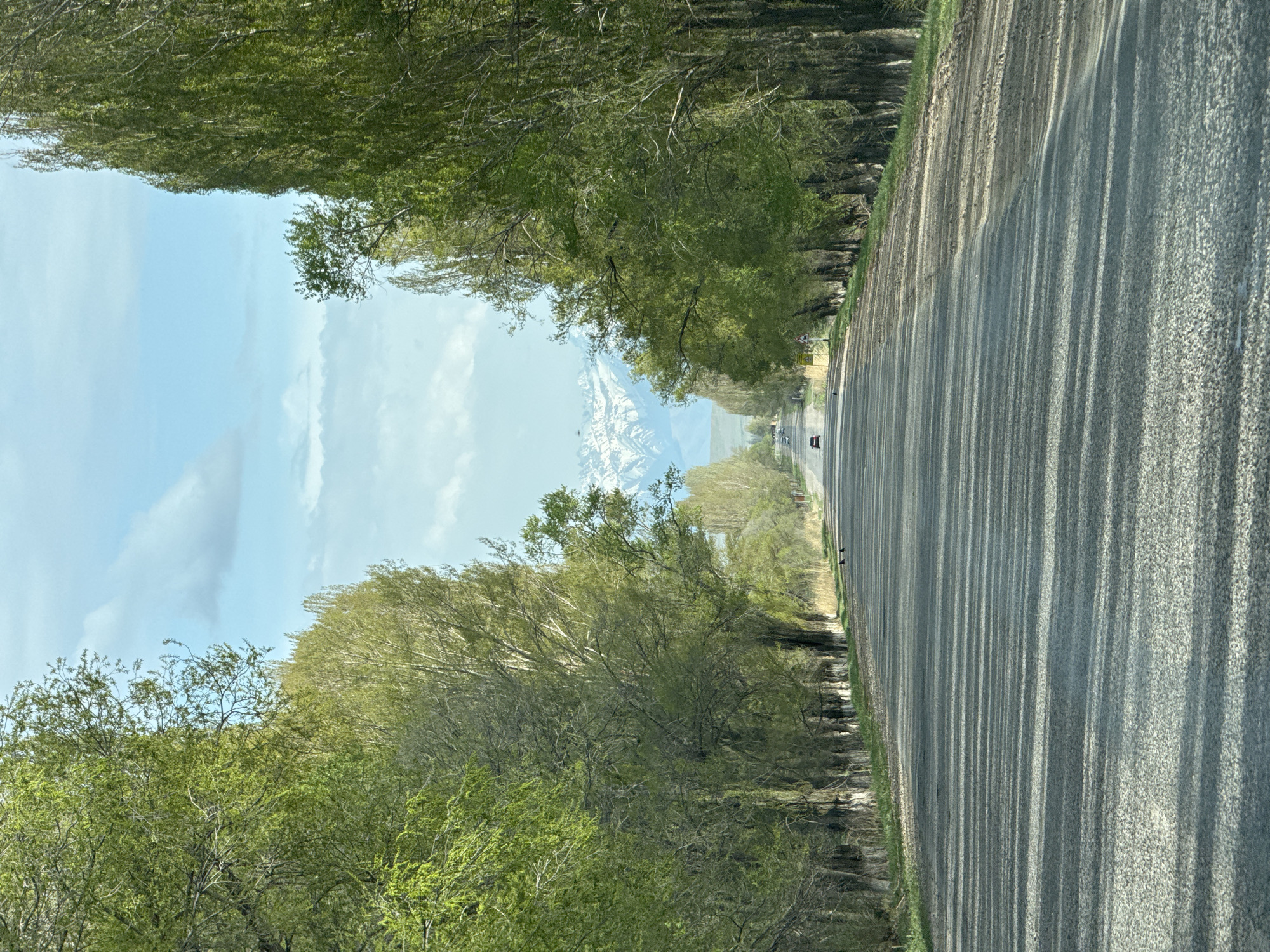 Tree-lined road captured in Tyup, Kyrgyzstan with mountain backdrop