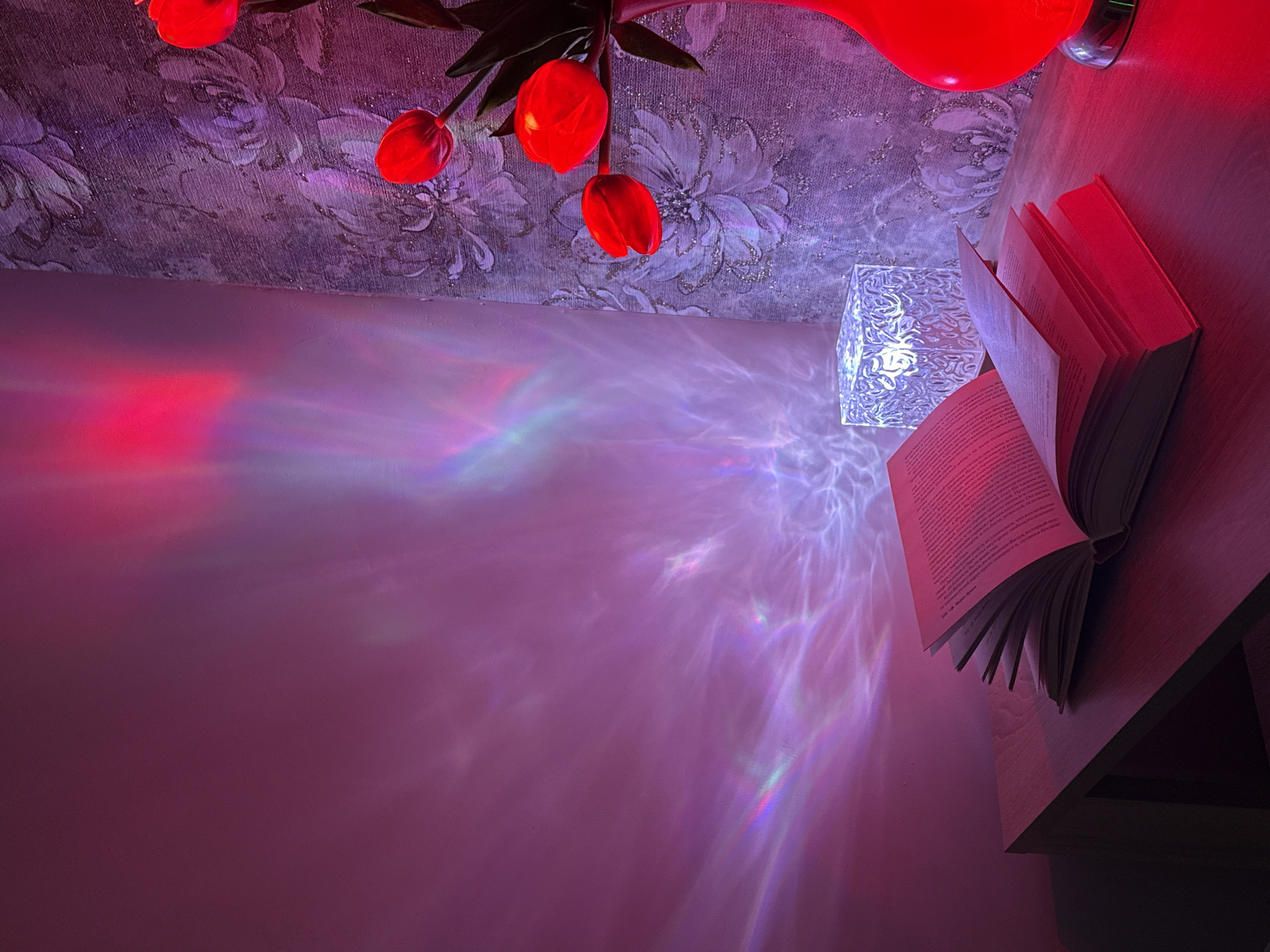 Evening reading session with Russian books under colored lighting