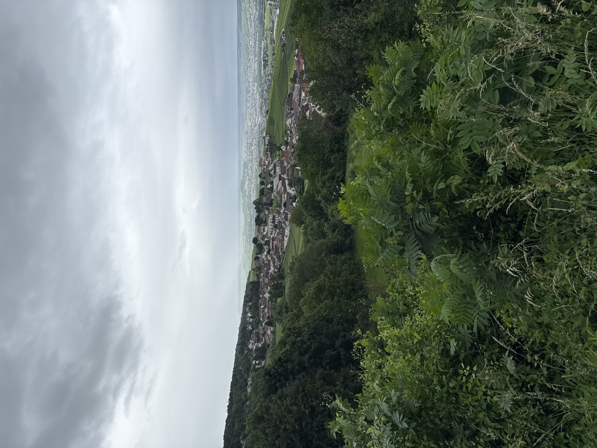 Panoramic valley village views captured from Champillon hillside