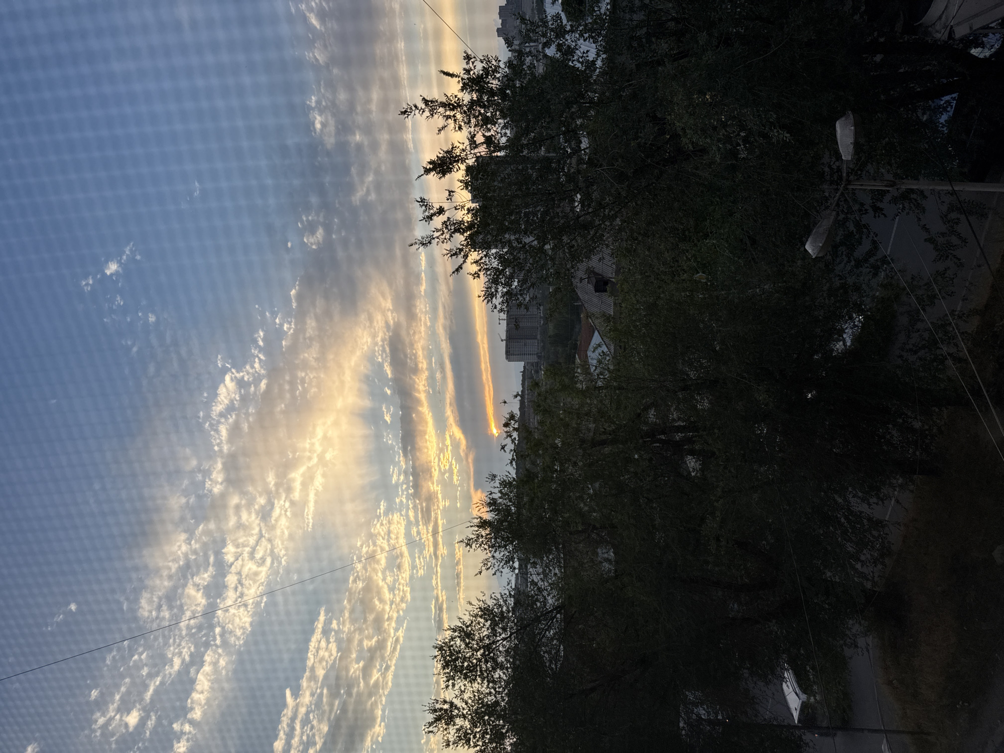 Dusk over Yerevan, roses on the table