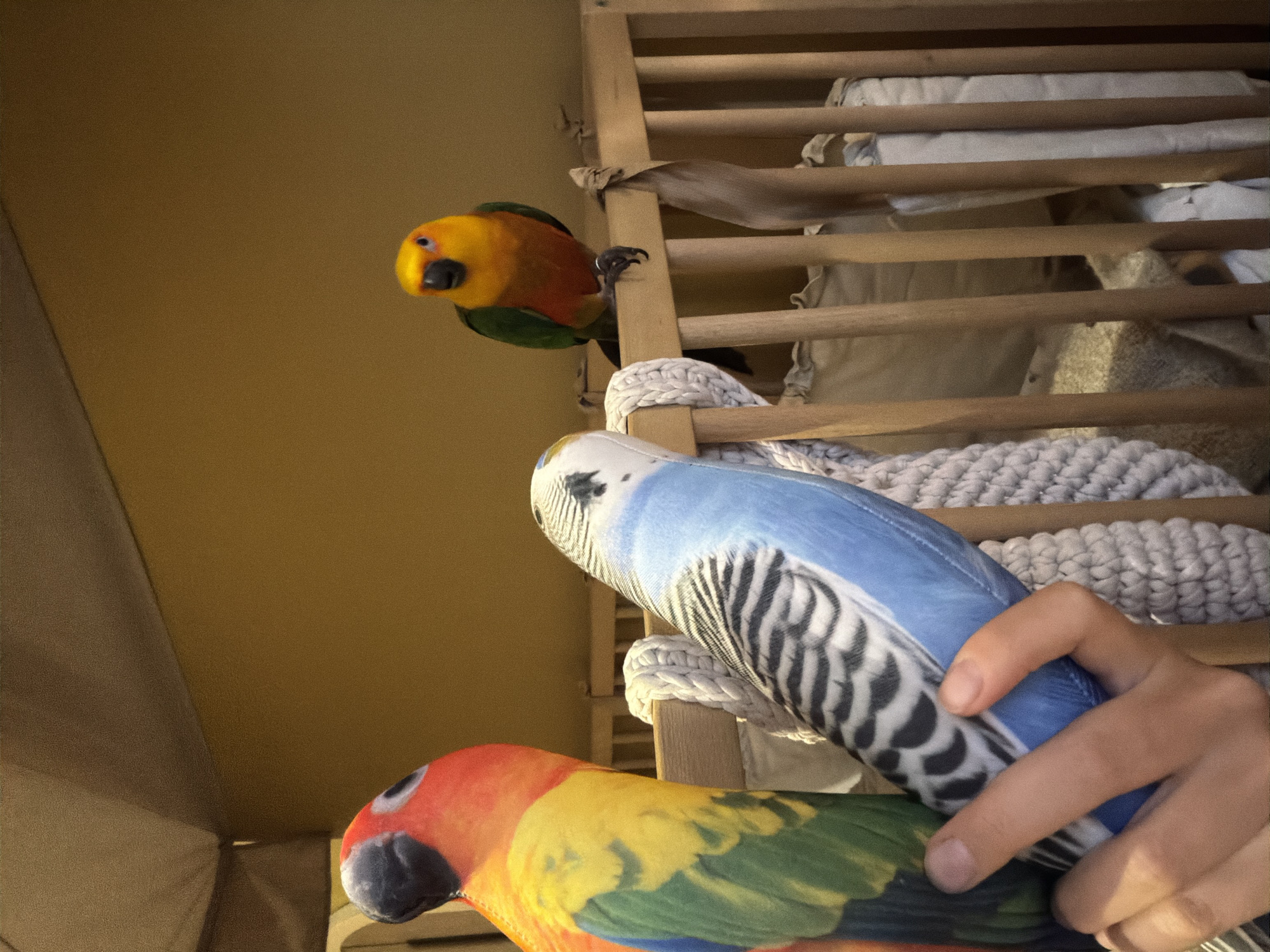 Plush parrot and budgie toys in Khimki, held like real birds