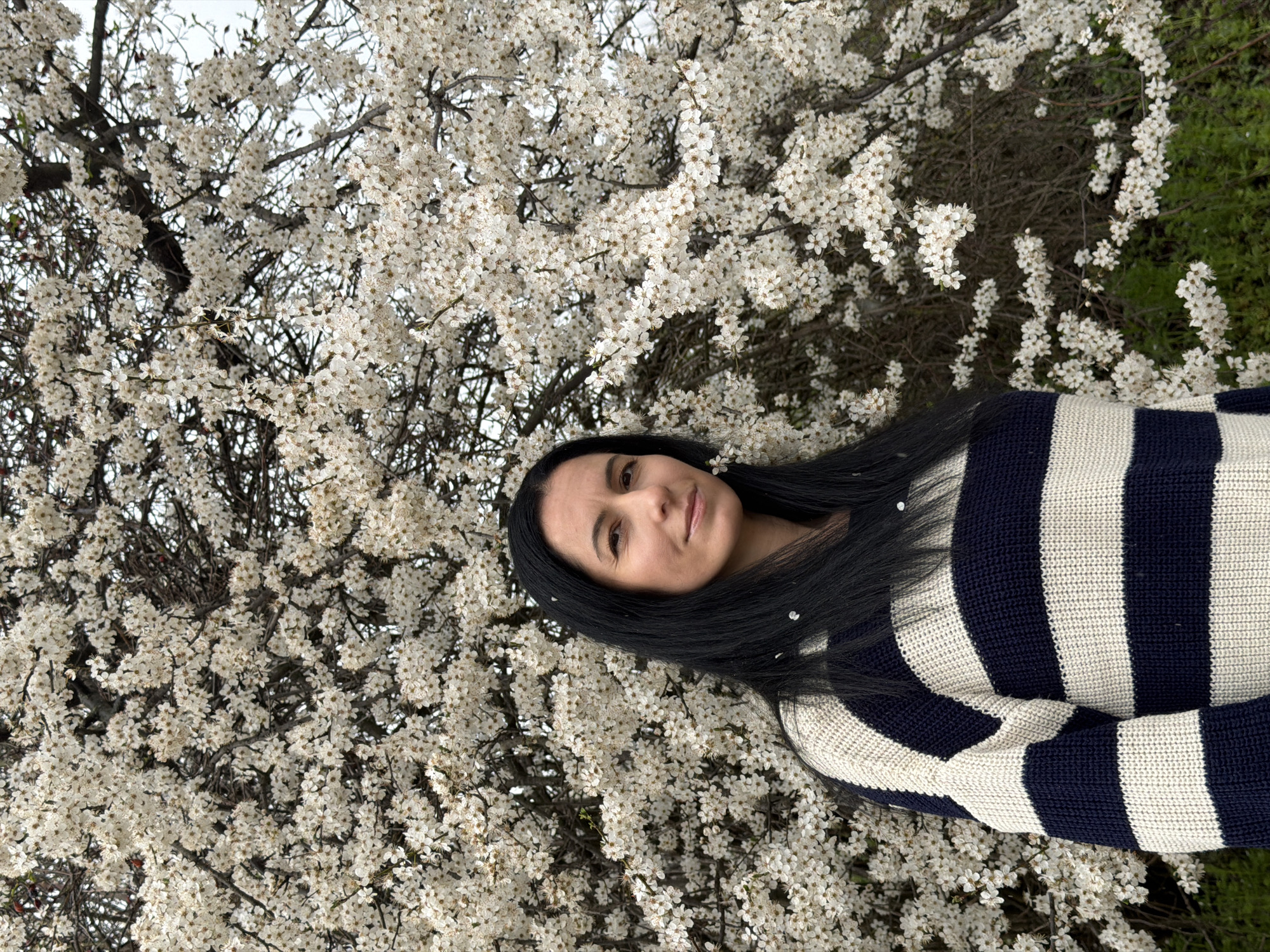 Woman rests among flowering trees in Pleven park