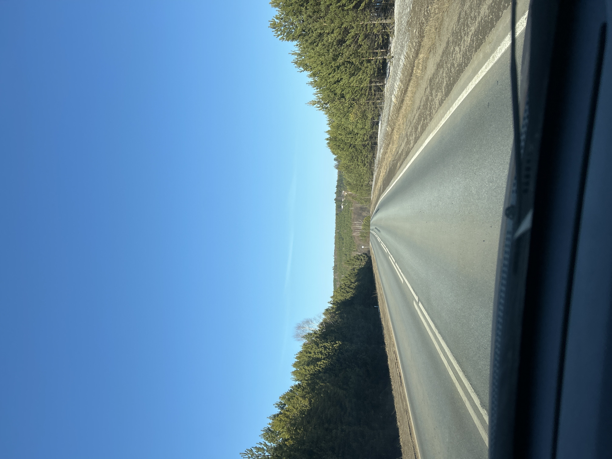 Vehicle drives forest road near Kamennyi Kliuch, Russia