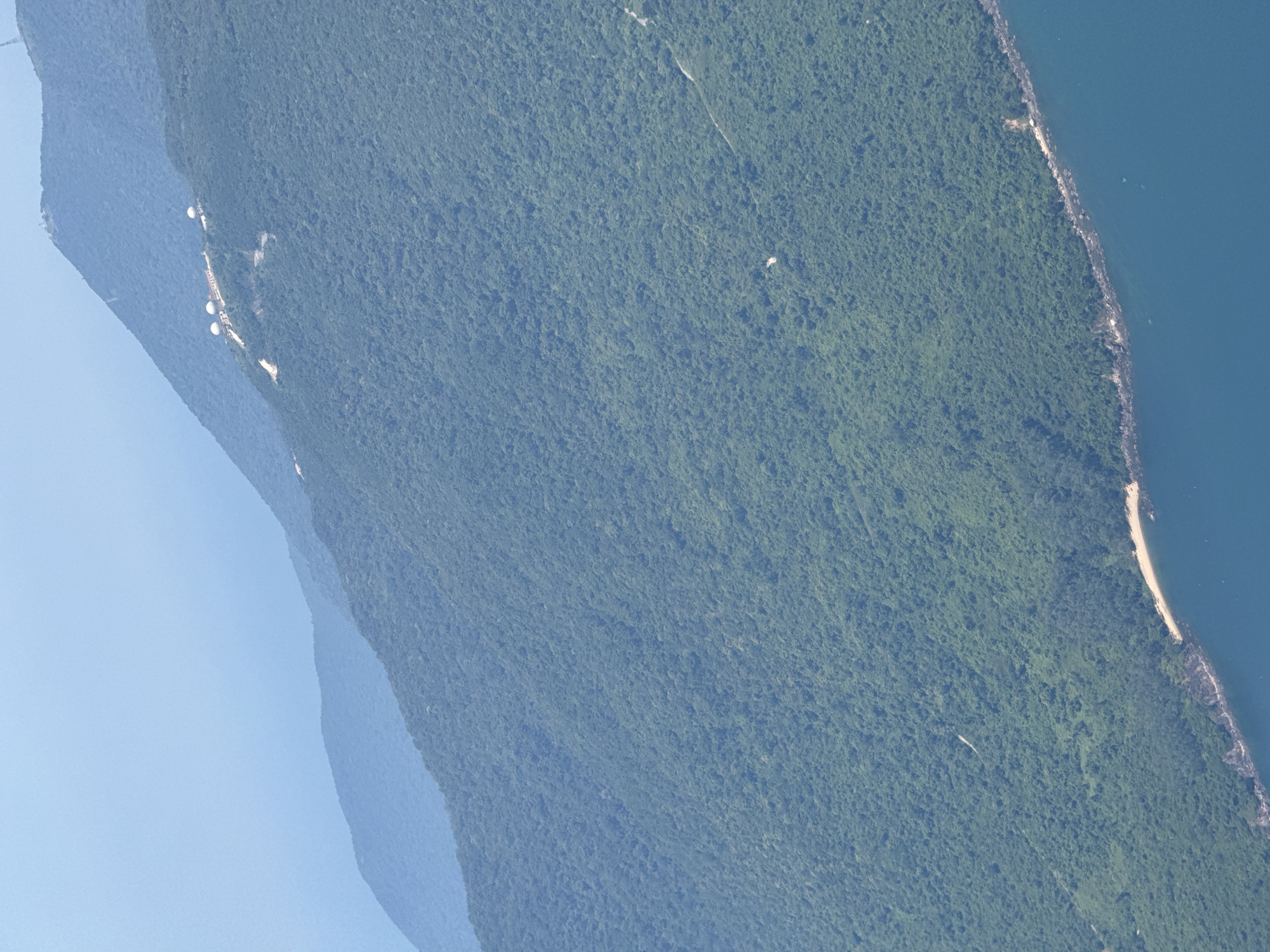Aerial view shows dense forest meeting coastline near Đà Nẵng