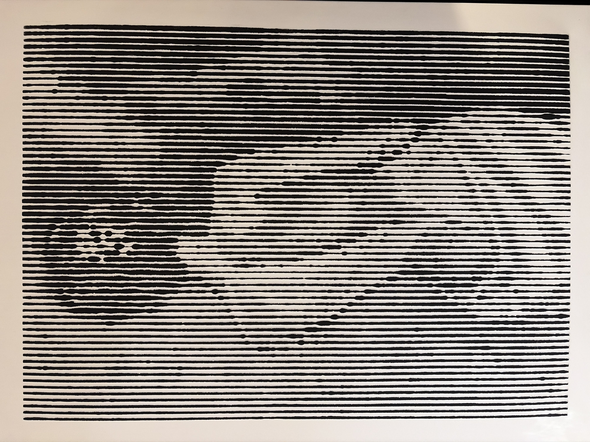 Witness documents Darwin portrait illusion, umbrella view in Ipswich