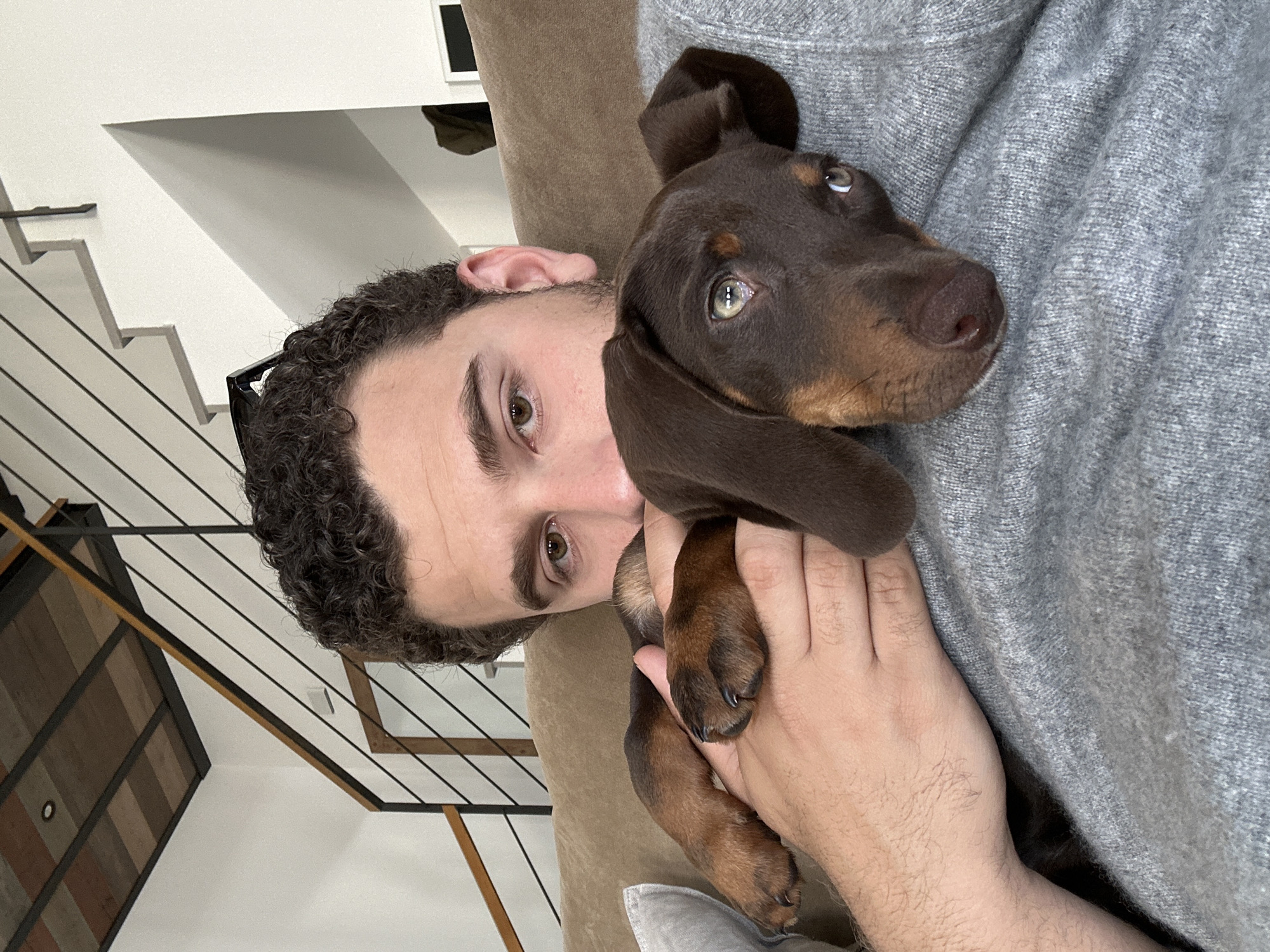 Man holds dachshund puppy in Raanana, Israel