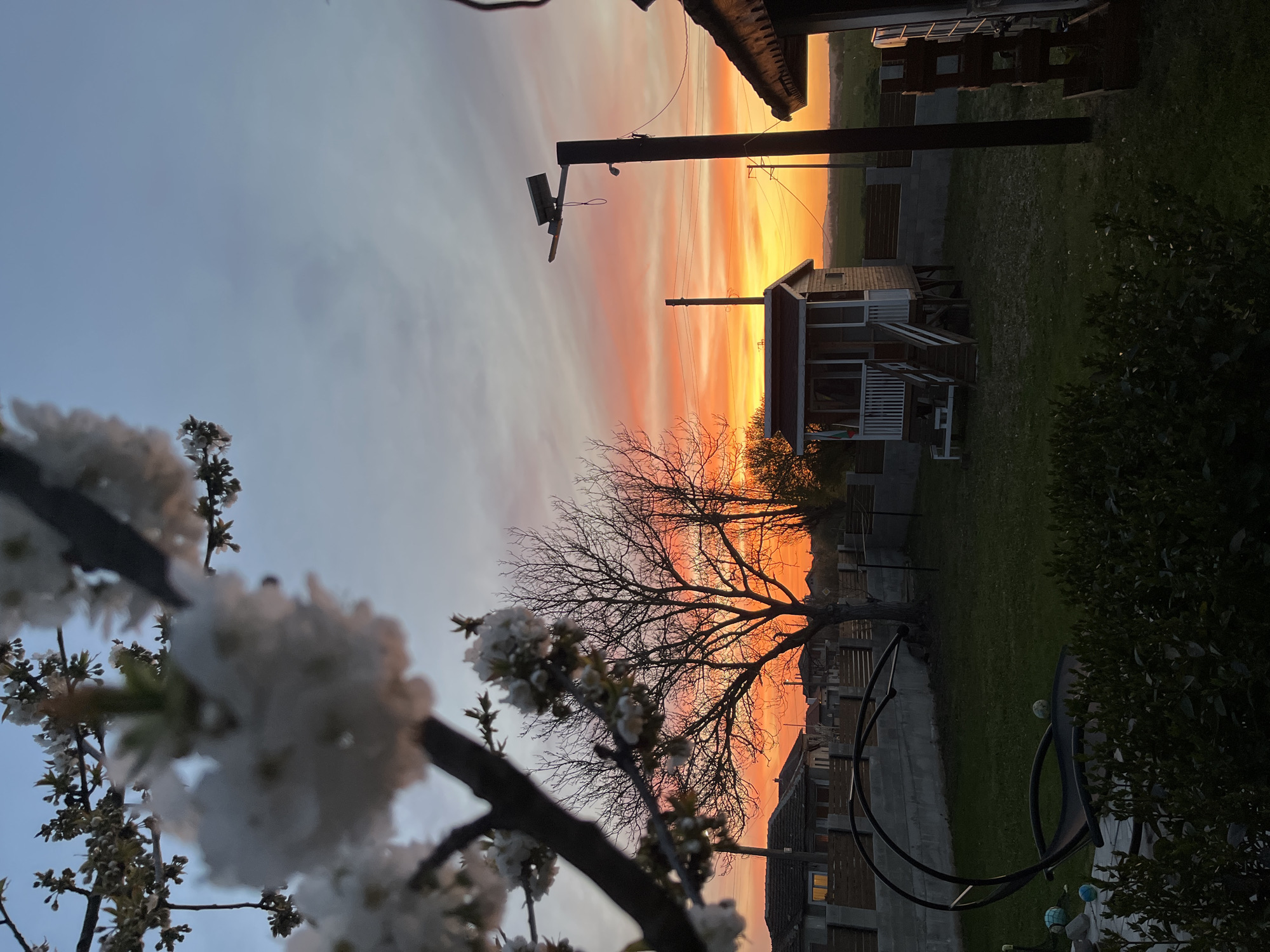 Spring sunset with cherry blossoms captured in Pchelnik, Bulgaria