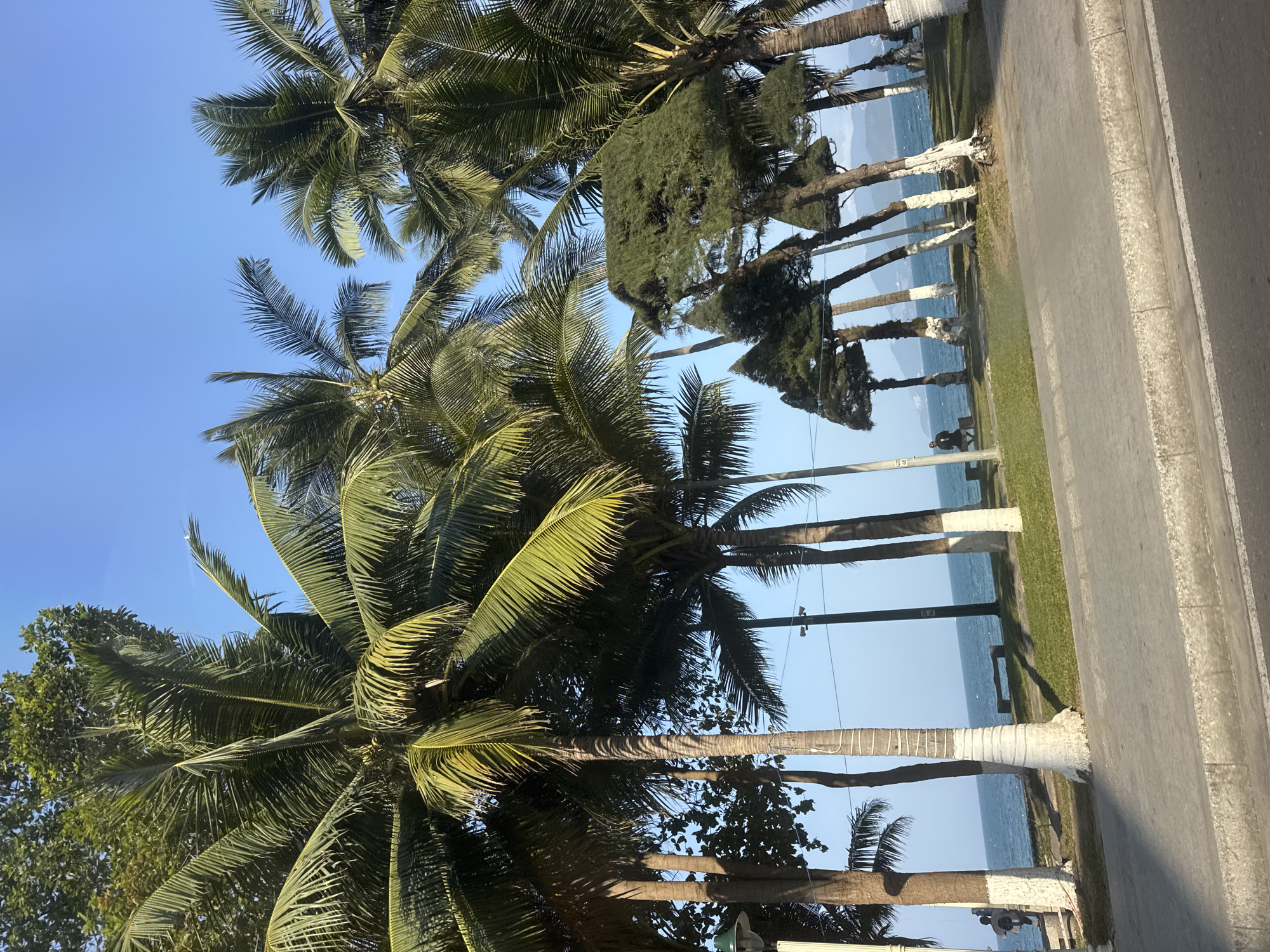 Beach scene and fruit market displays documented by witnesses