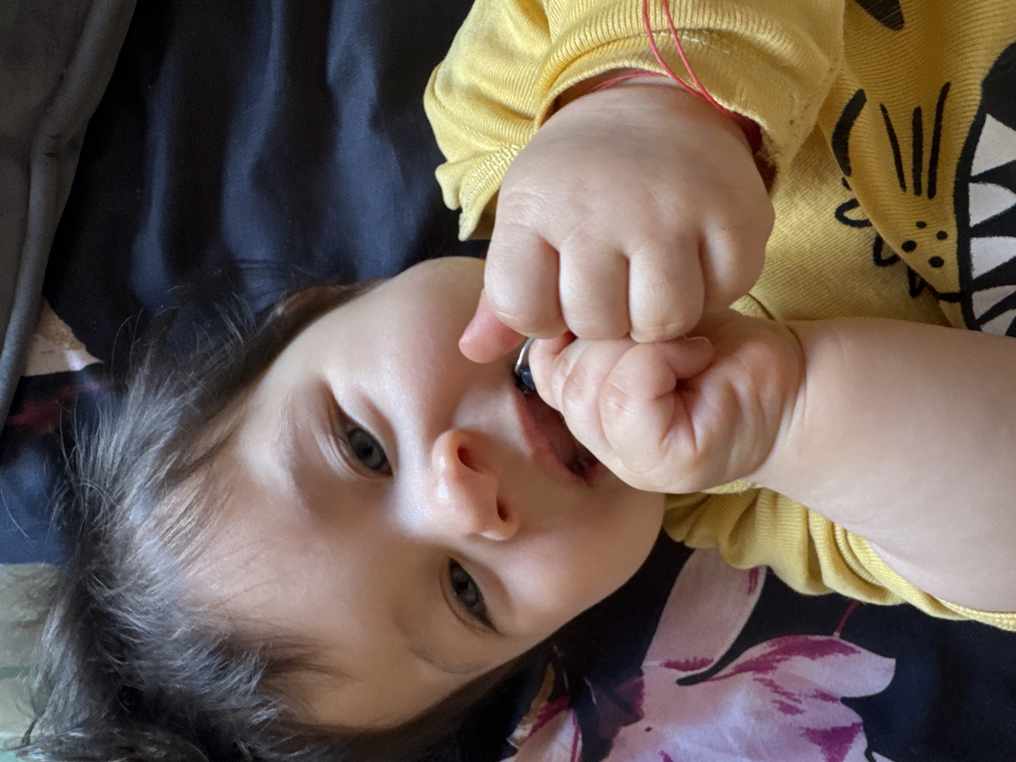Baby in dinosaur shirt observed resting in Lincoln home