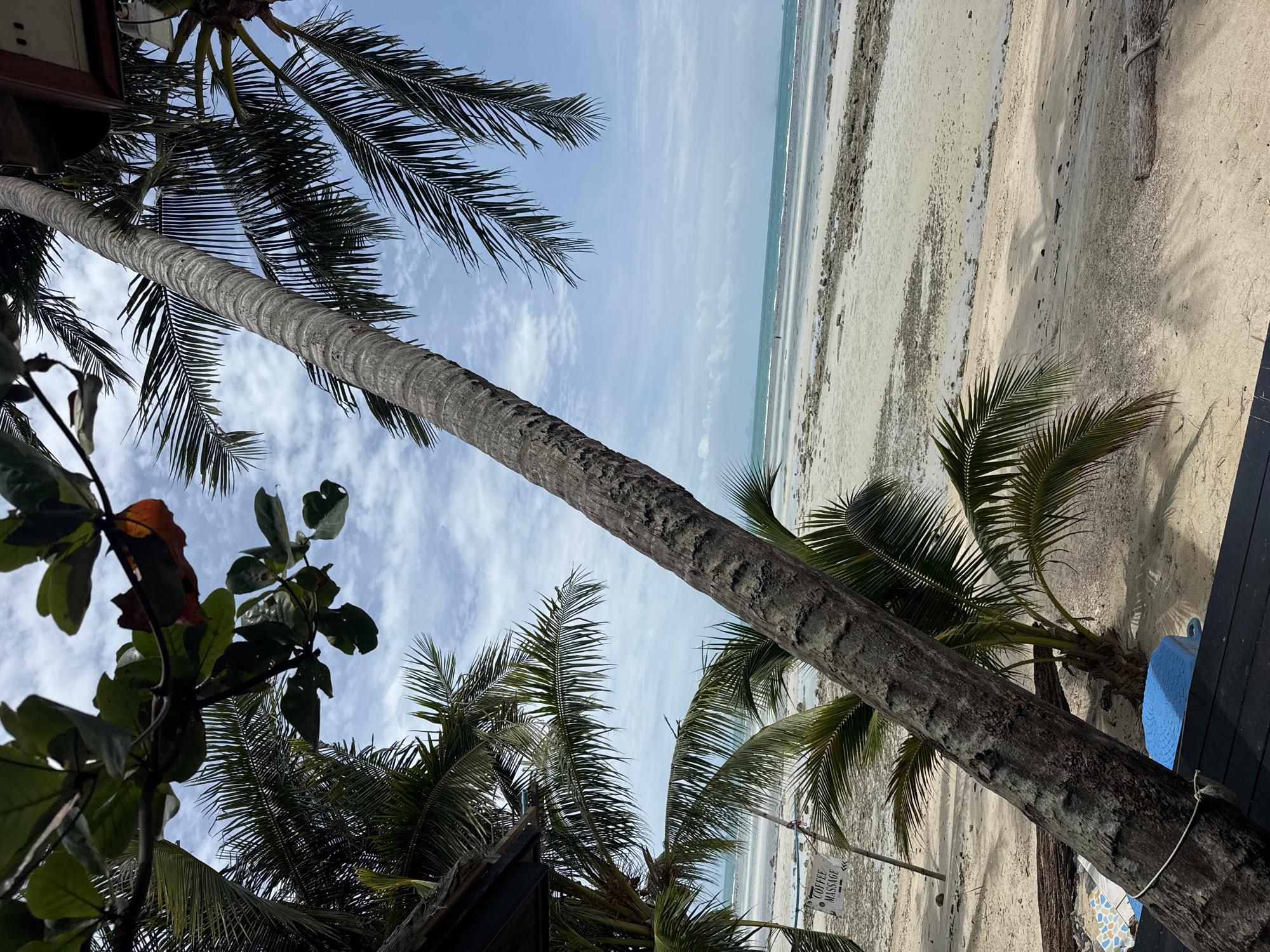 Lazy morning on a palm-lined Ko Samui beach