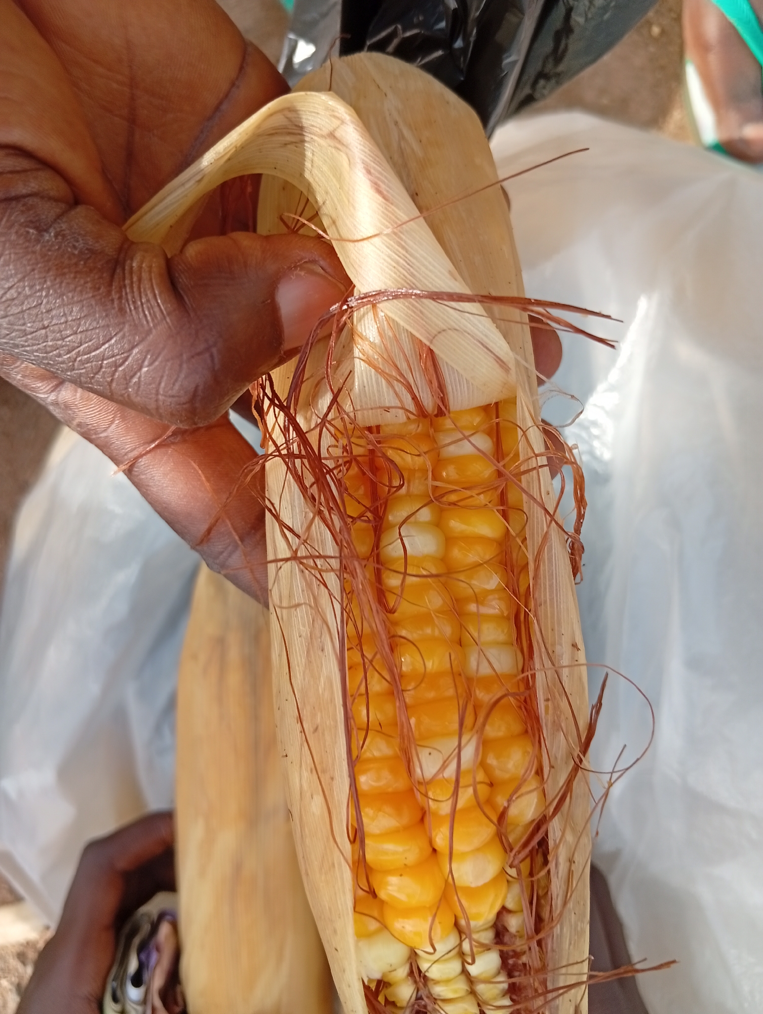 Street trade and daily commerce in Jalingo, Nigeria