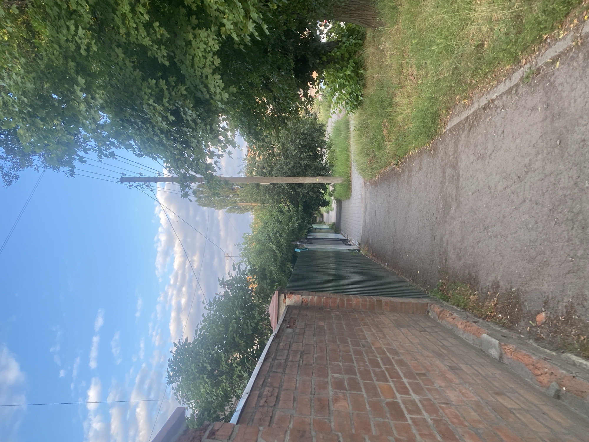 Everyday life around Poltava's streets and parks, summer afternoon