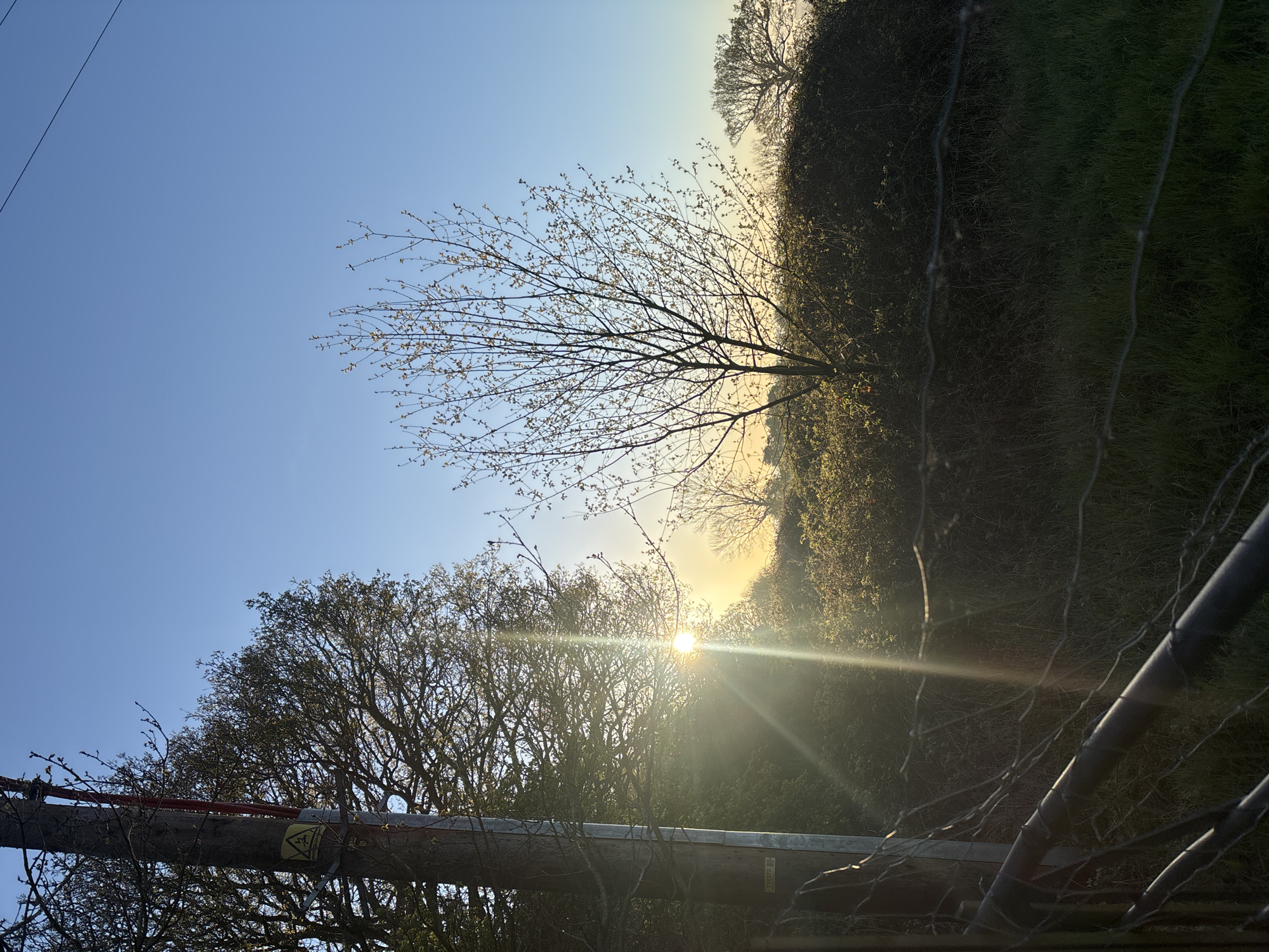 Rural morning scene documented near Welwyn Hatfield utility pole