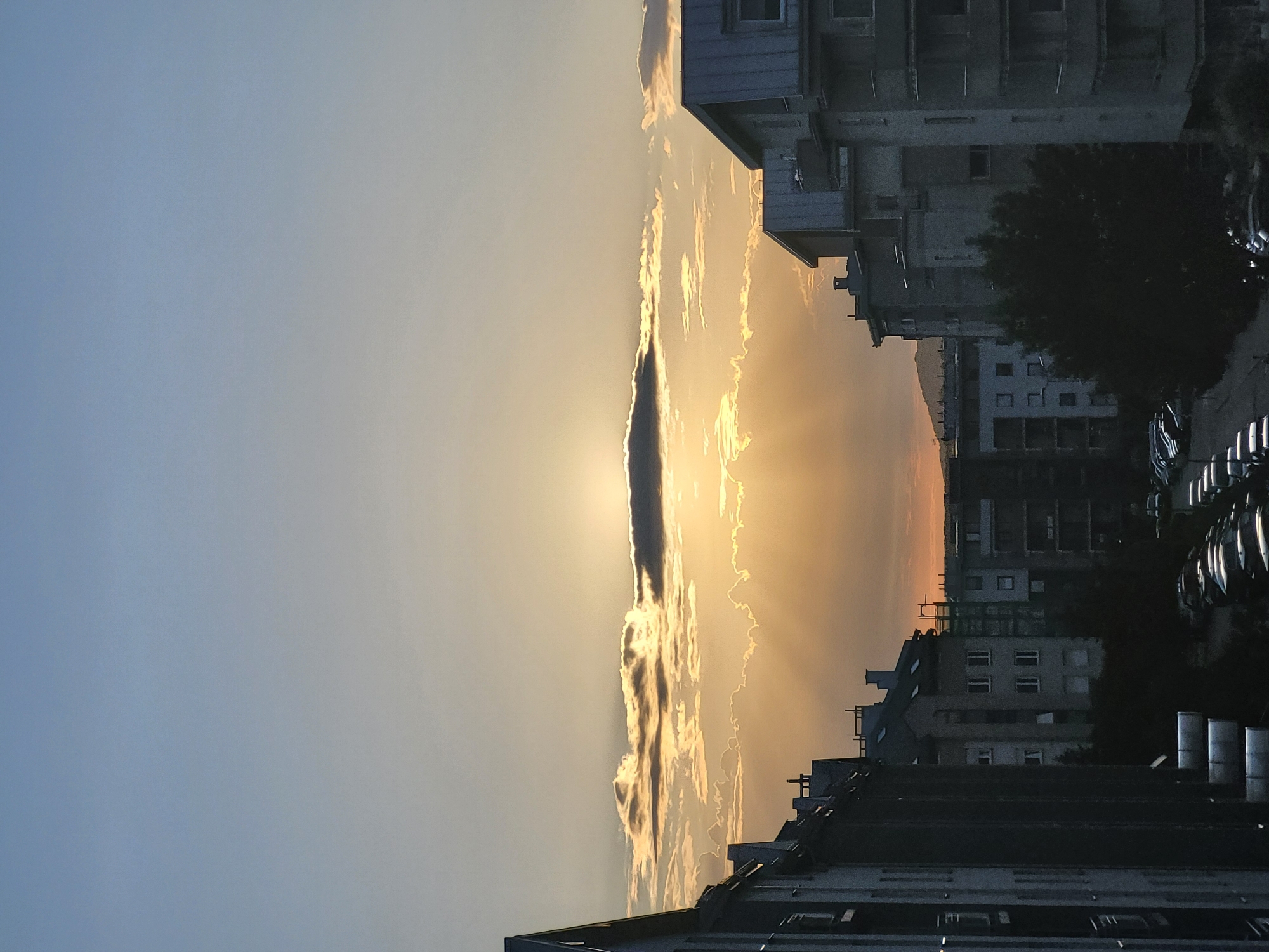 Urban sunset and grey cat portraits captured over 81 minutes
