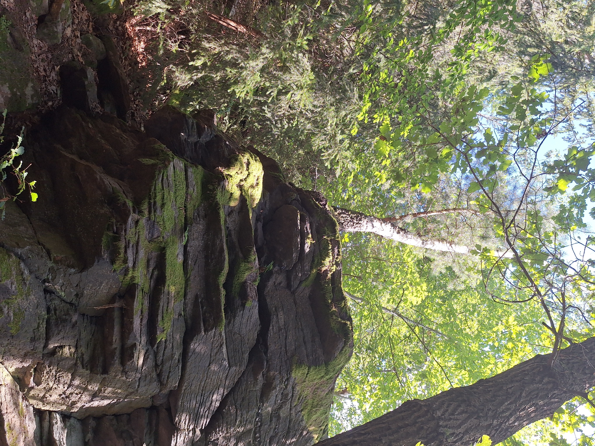 Afternoon on the rocks above a forested valley near Wolkenstein