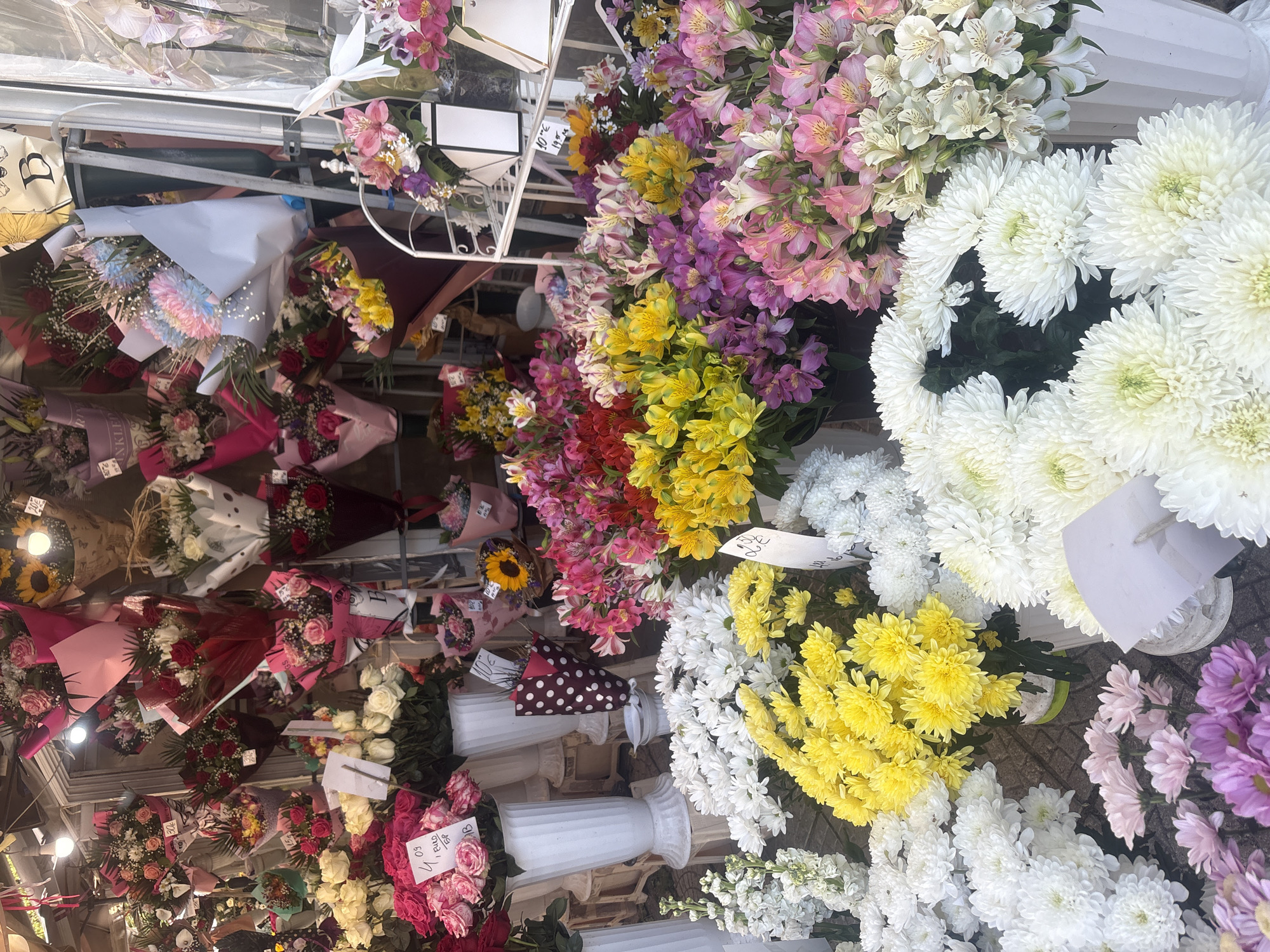 Person with 'Need Money for BMW' phone spotted at flower market
