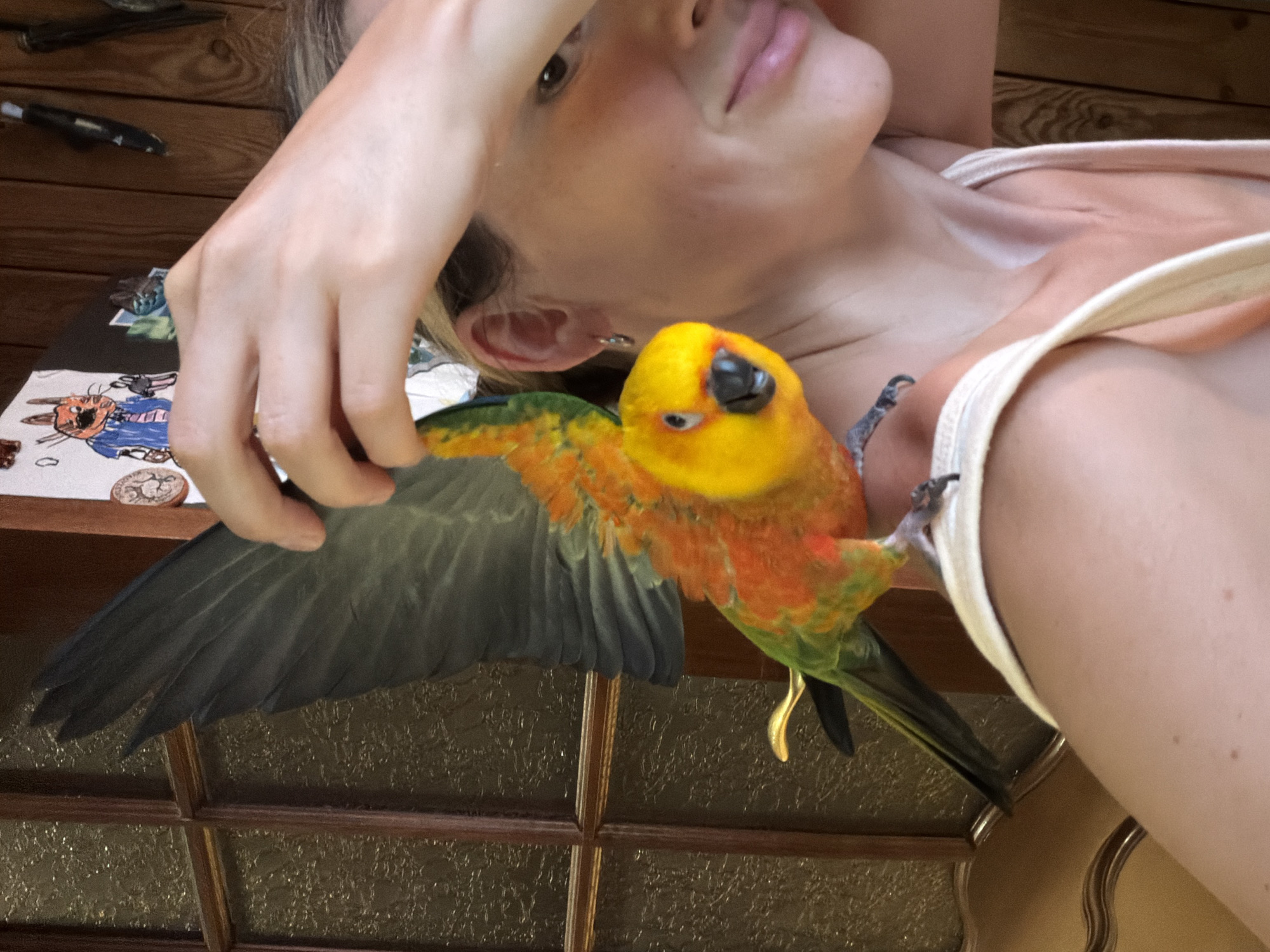 Person bonds with colorful parrot in Russian park
