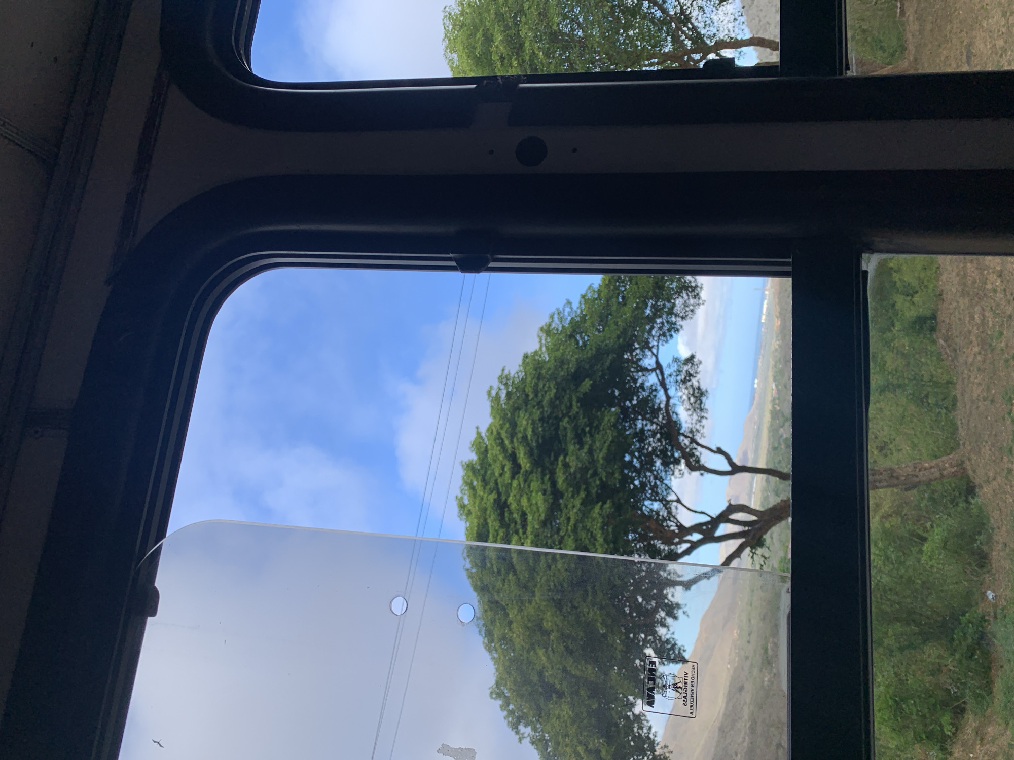 Vehicle passenger observes tree-lined landscape in Tacarigua, Venezuela