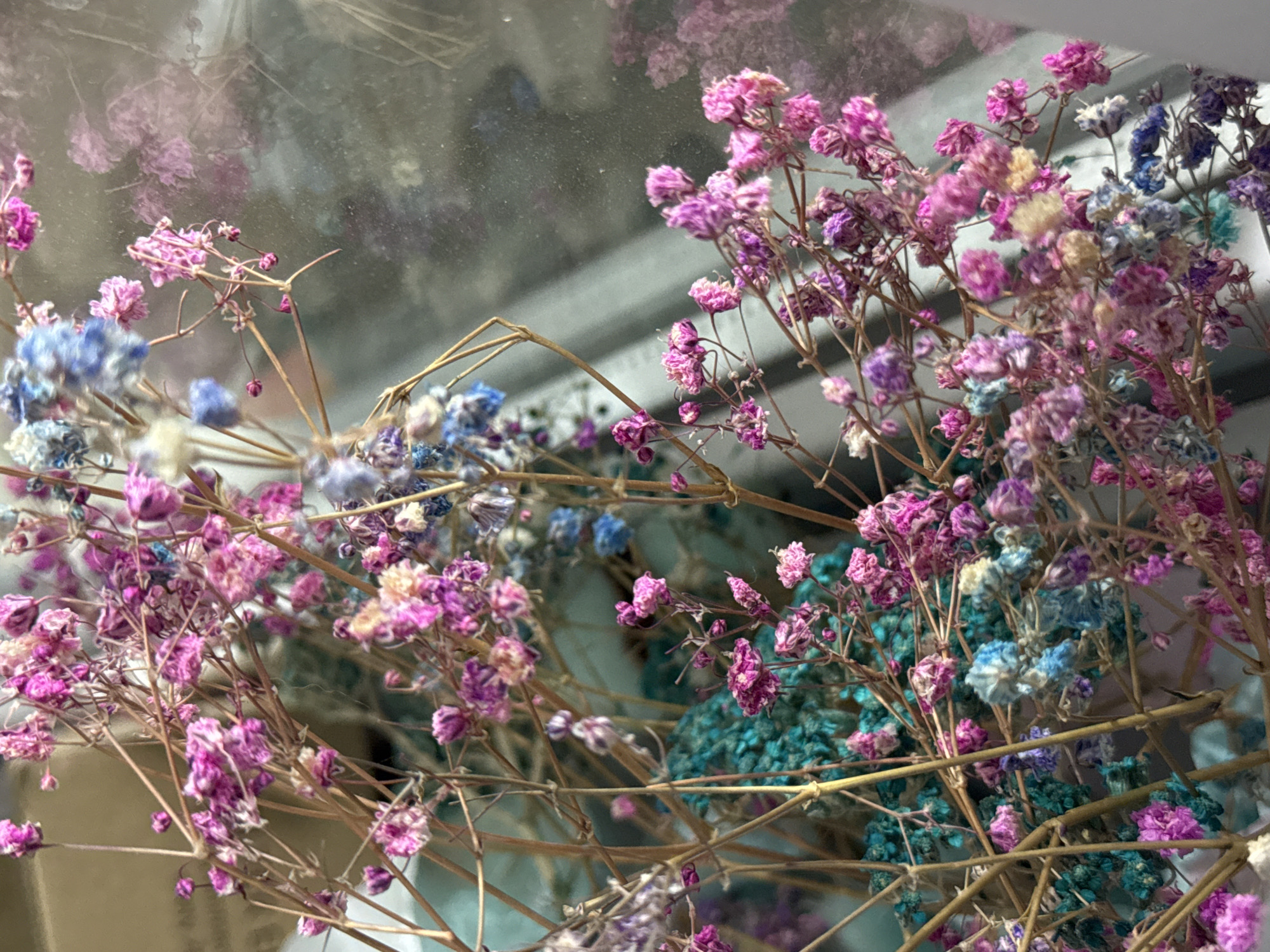 Colorful dried baby's breath bouquet, shot from multiple angles indoors