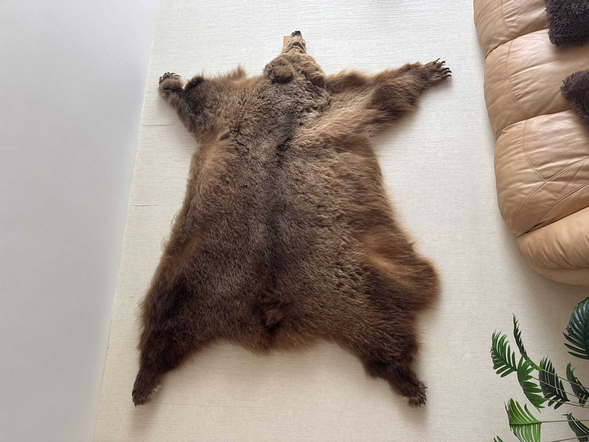 Bear rug antics and city sights in Nizhny Novgorod