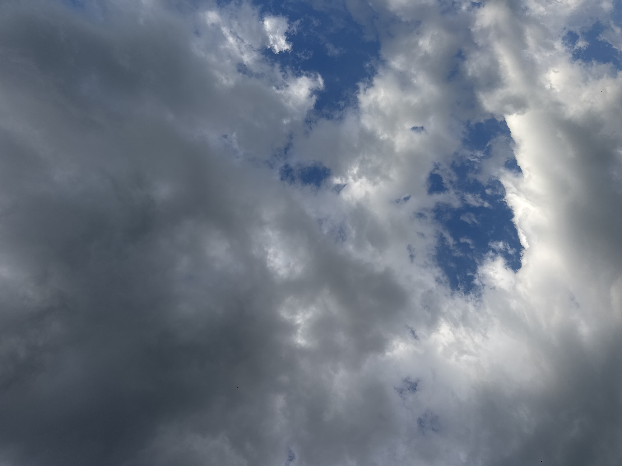 Routine travel and nature observations captured over three hours