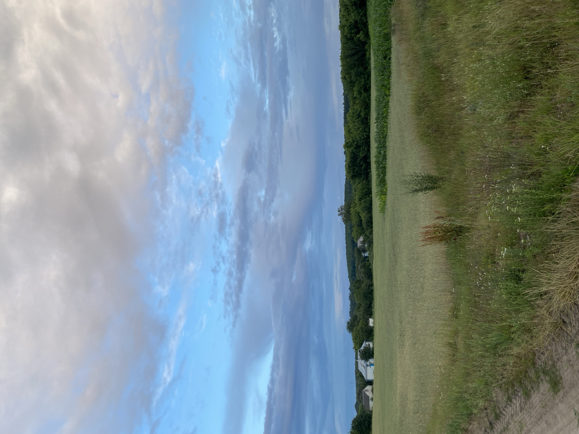 Golden fields and stormy skies at sunset in rural Ukraine