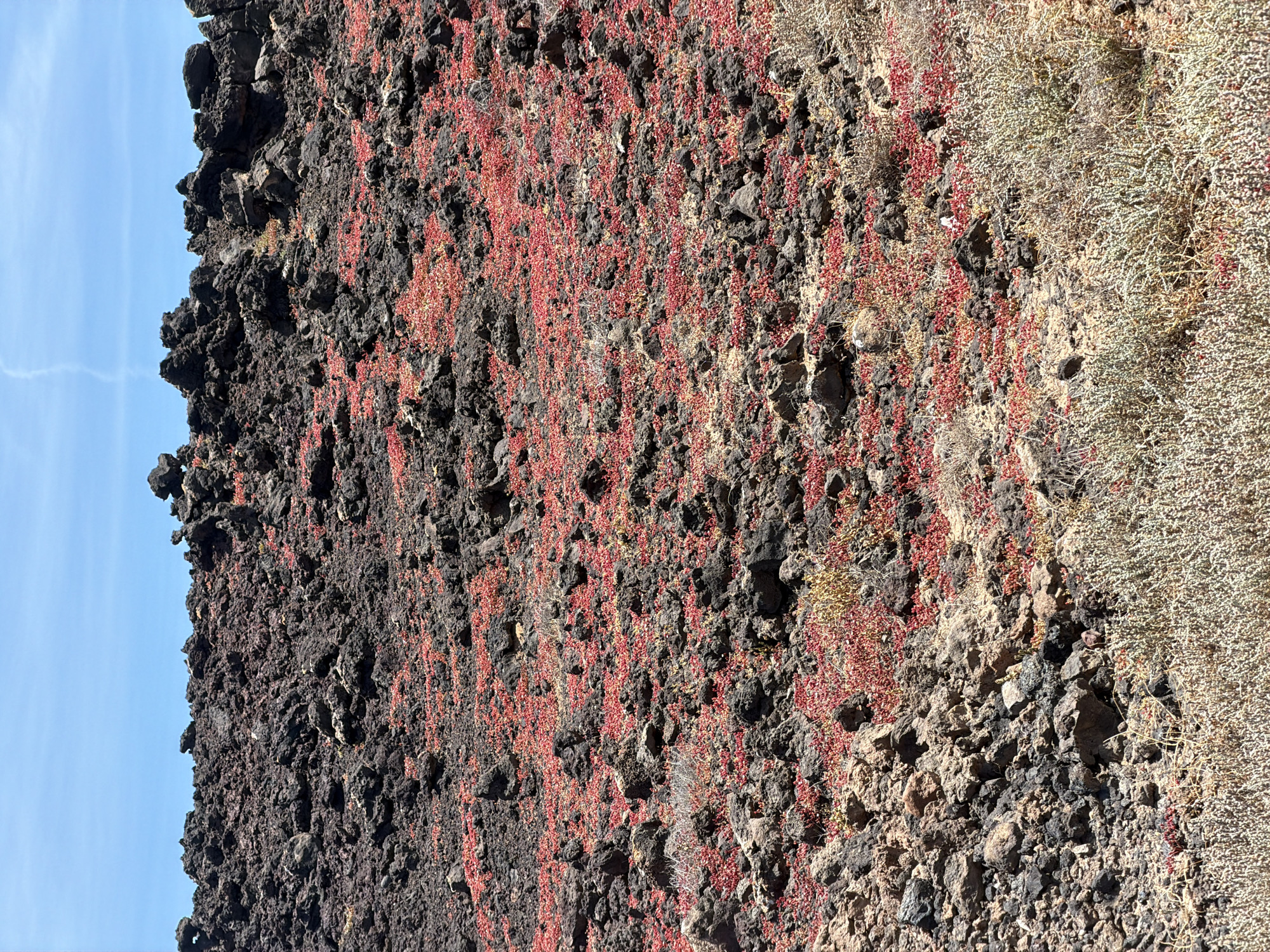Visitor documents volcanic landscape during Tinajo, Spain exploration