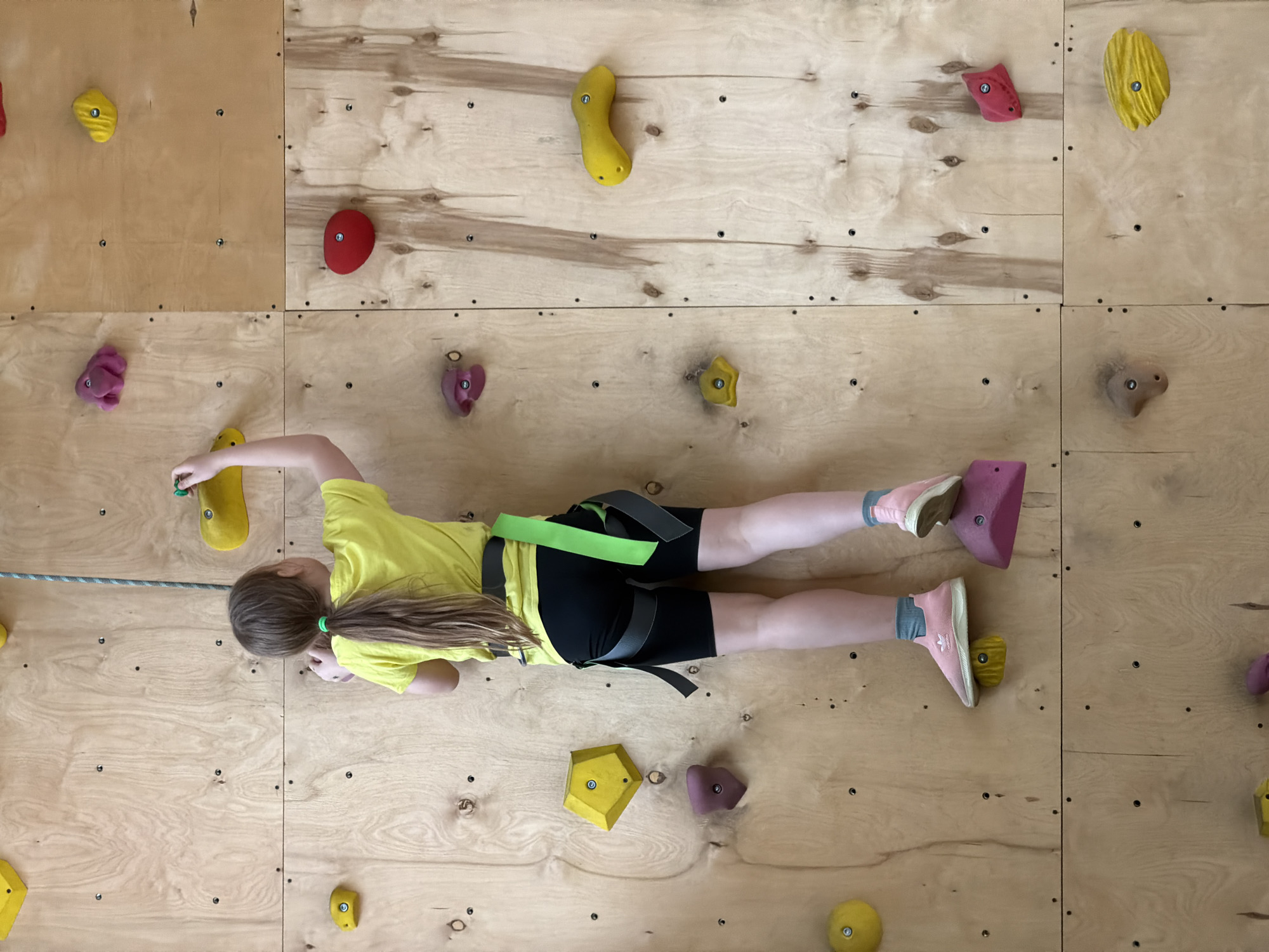 Young climber scales indoor wall in Izhevsk