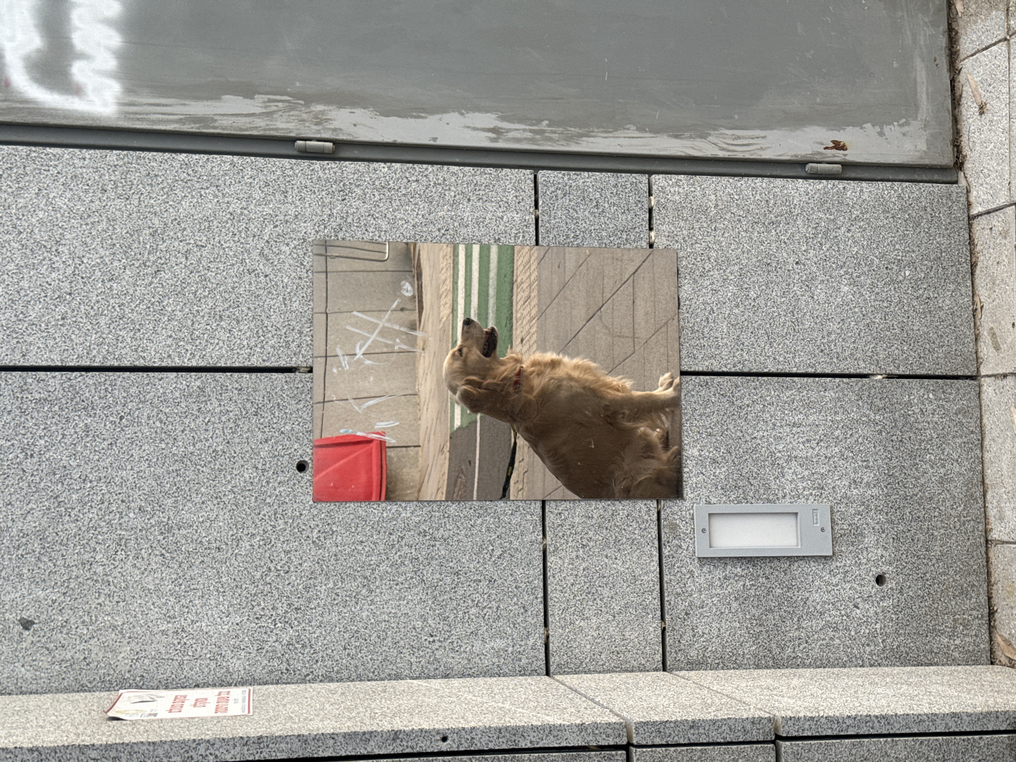 Street reflection captured on Tel Aviv building wall