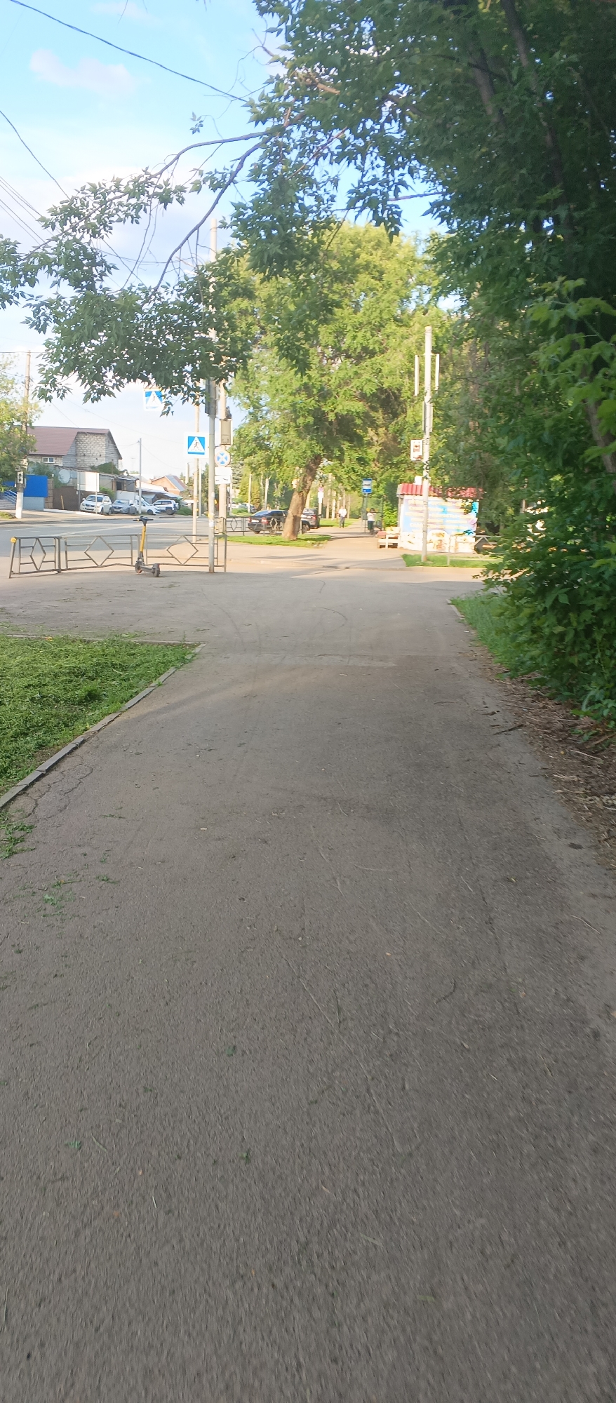 Strolling through a tree-lined Samara neighborhood on a summer afternoon