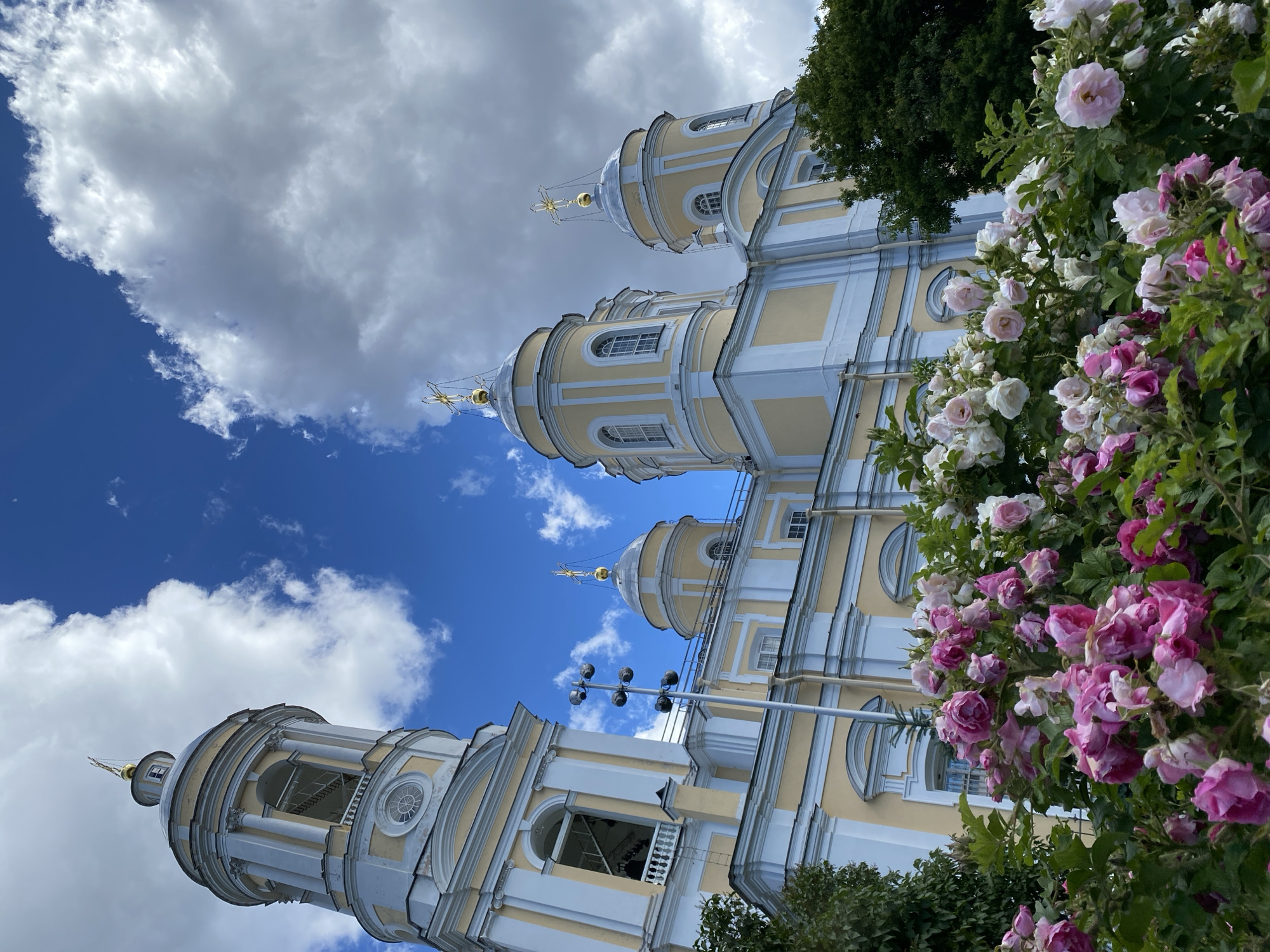 Morning at Smolny Cathedral, roses in bloom