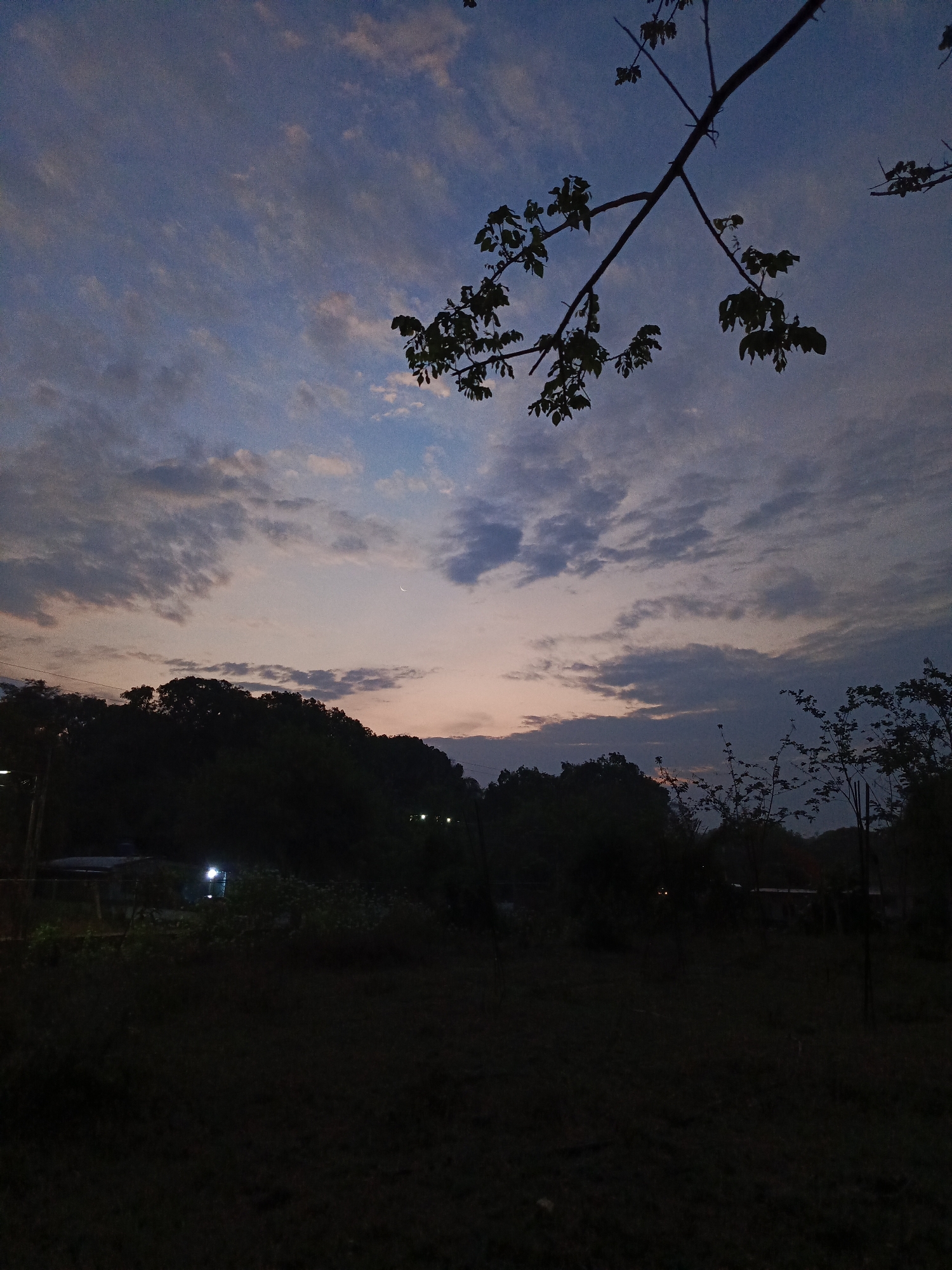 Dusk landscape scene documented in Monagas, Venezuela