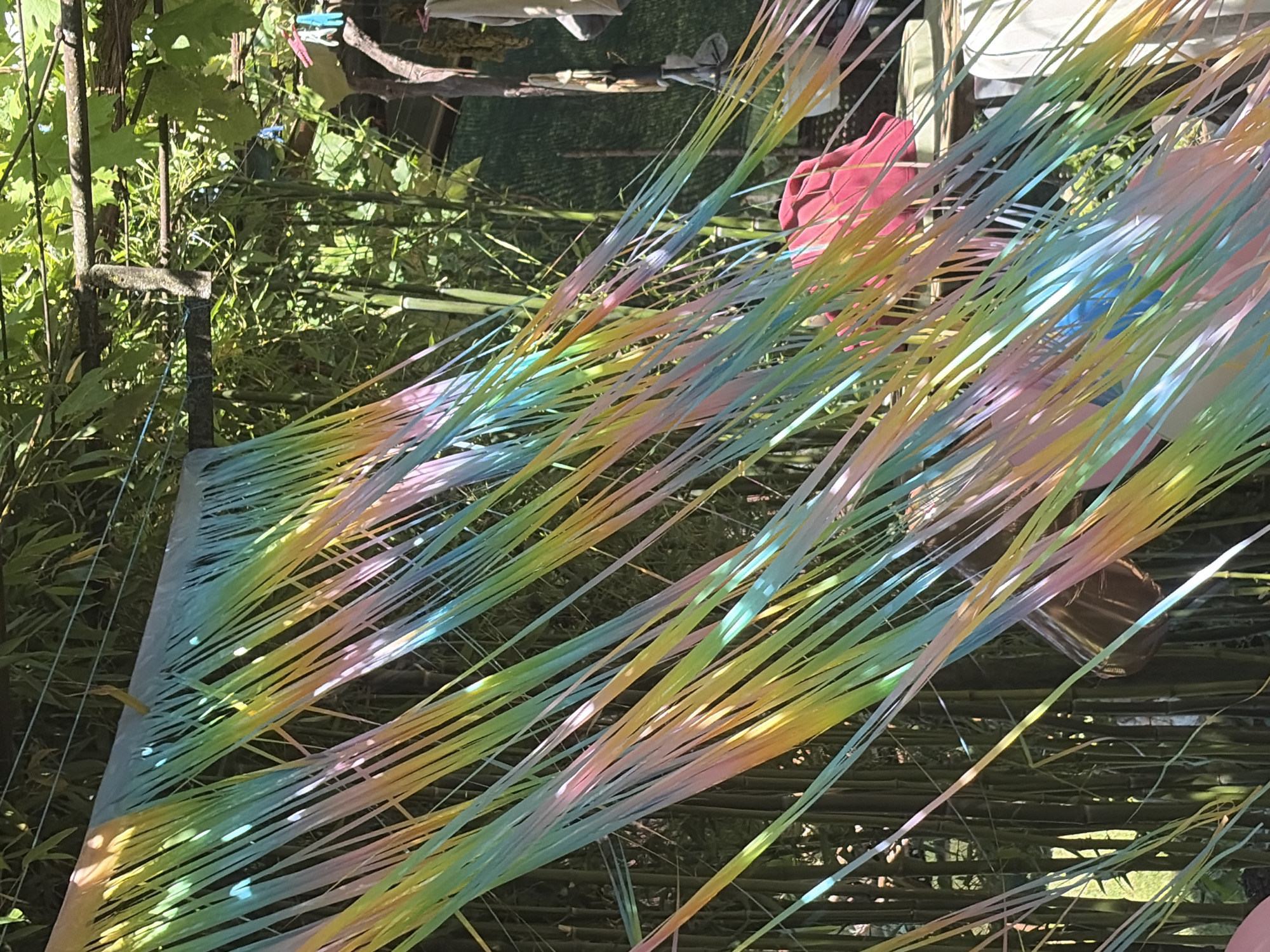 Birthday party preparations in Bulgarian village backyard