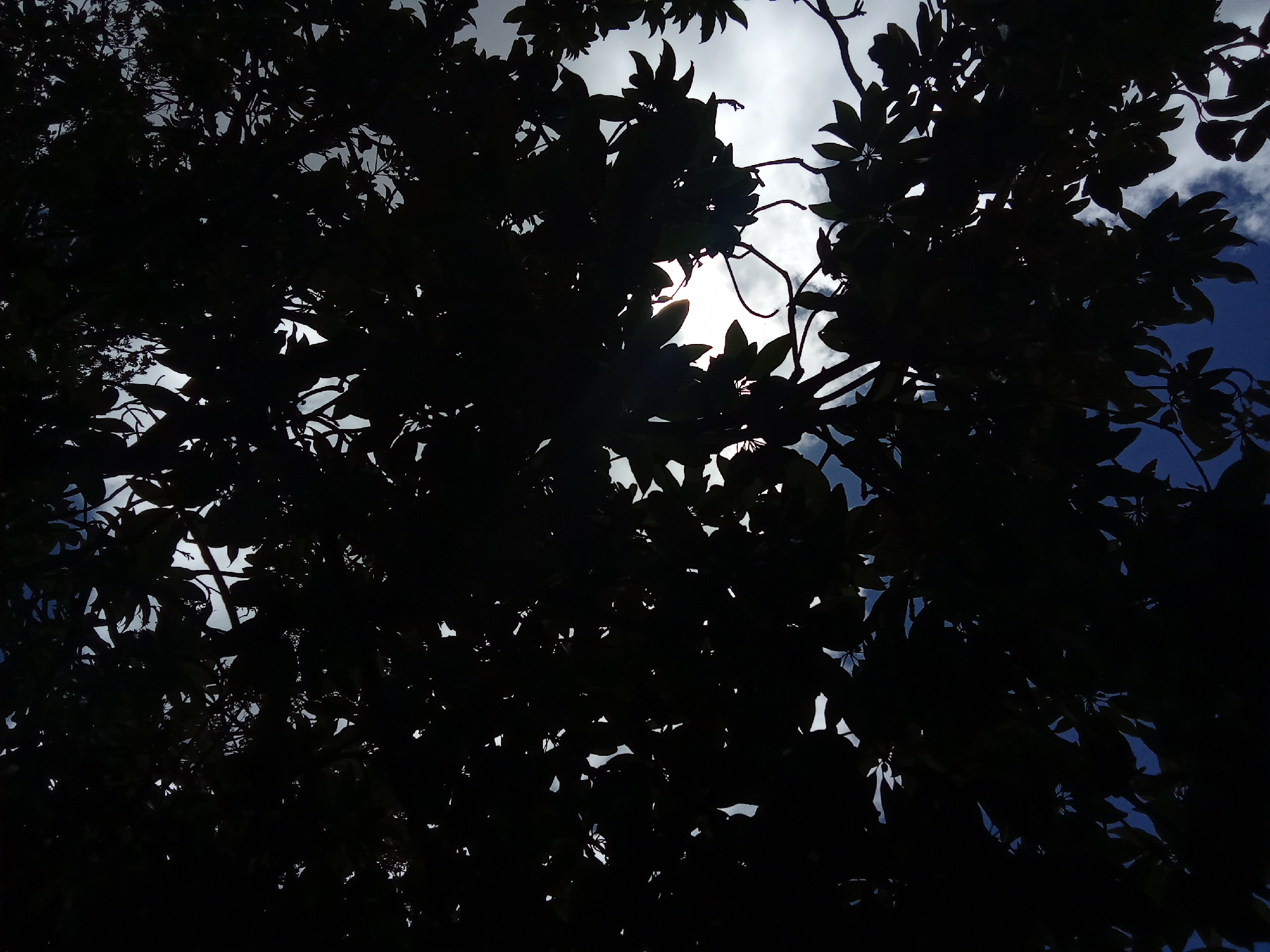 Afternoon sky-gazing and baby shower preparations in Juan Griego