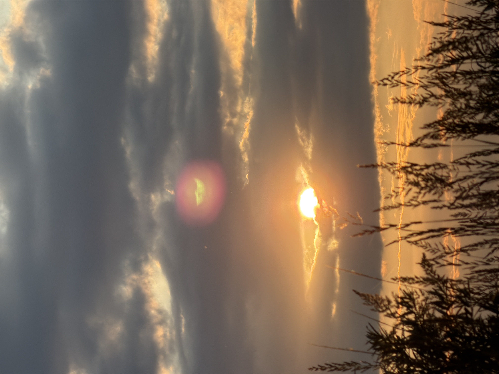 Sunset over reeds and water near Tarasovo, Russia