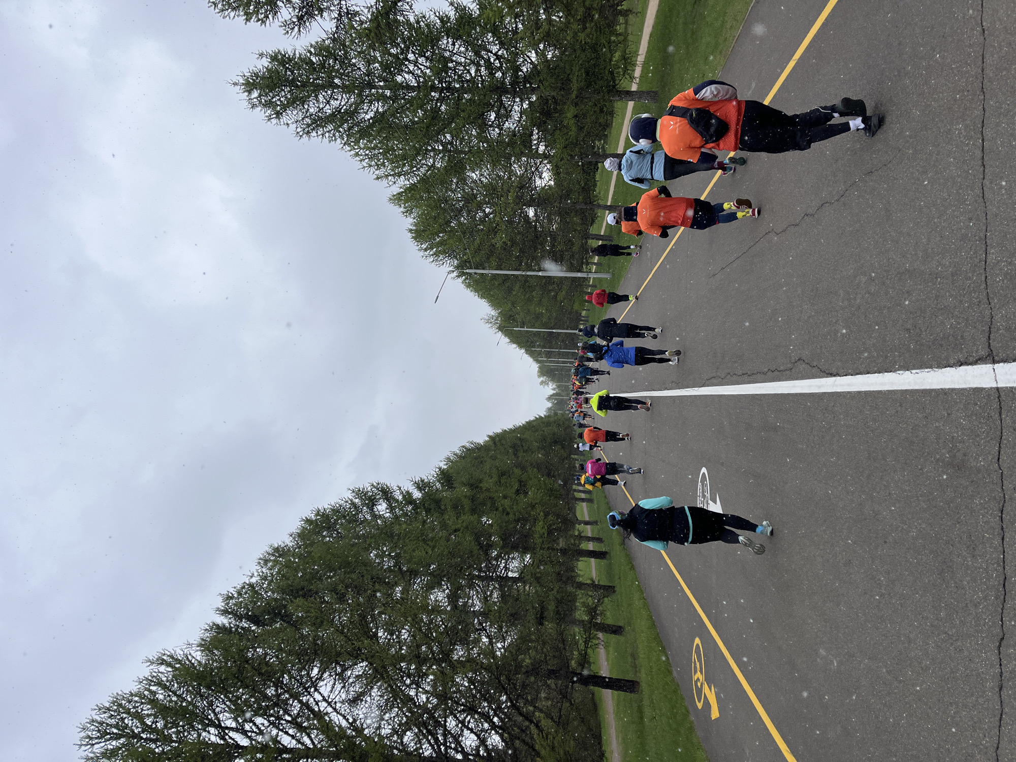 Rollerskiers exercise on marked park path in Krasnoyarsk