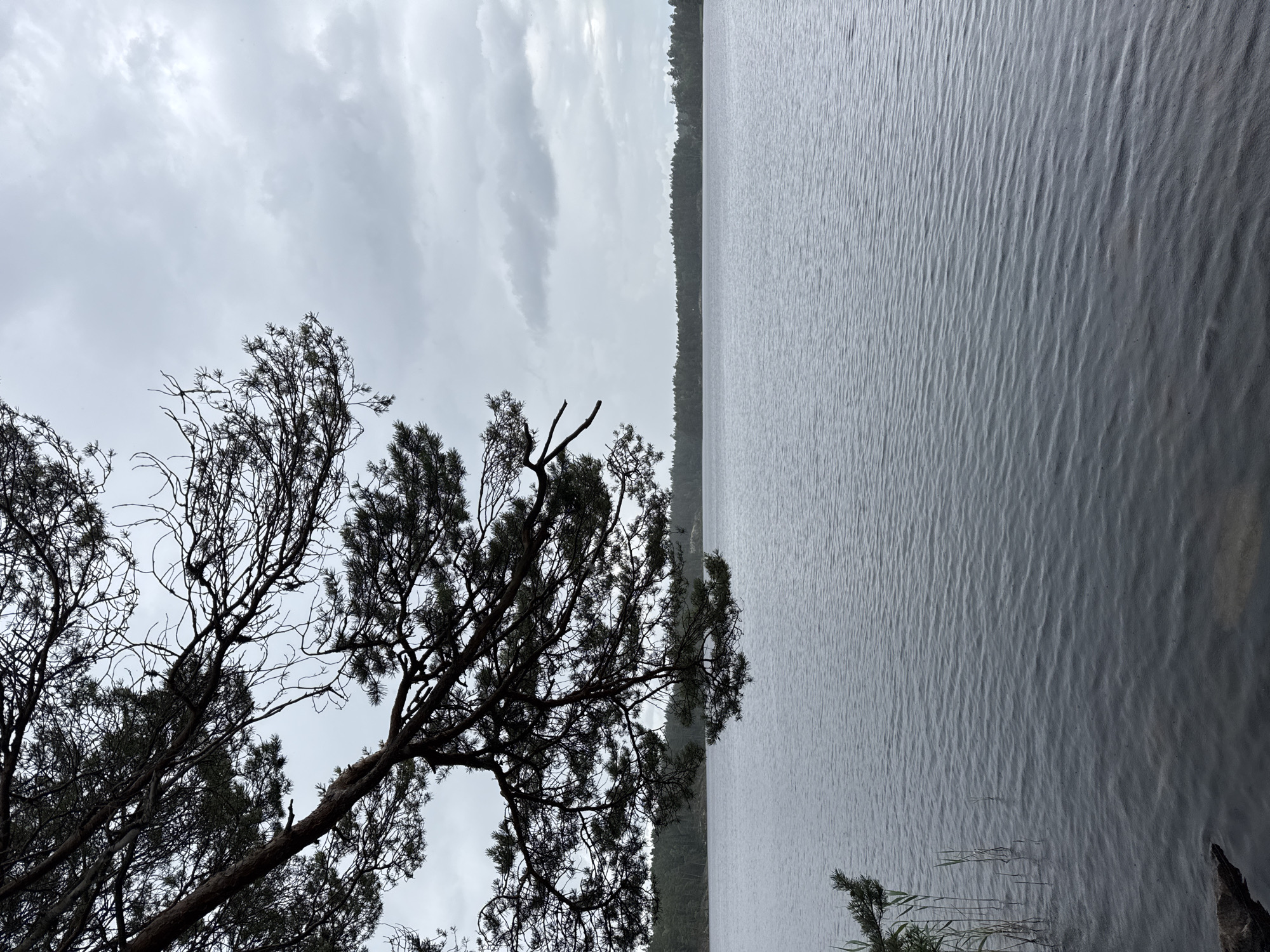 Still lake framed by pine in overcast Solberga