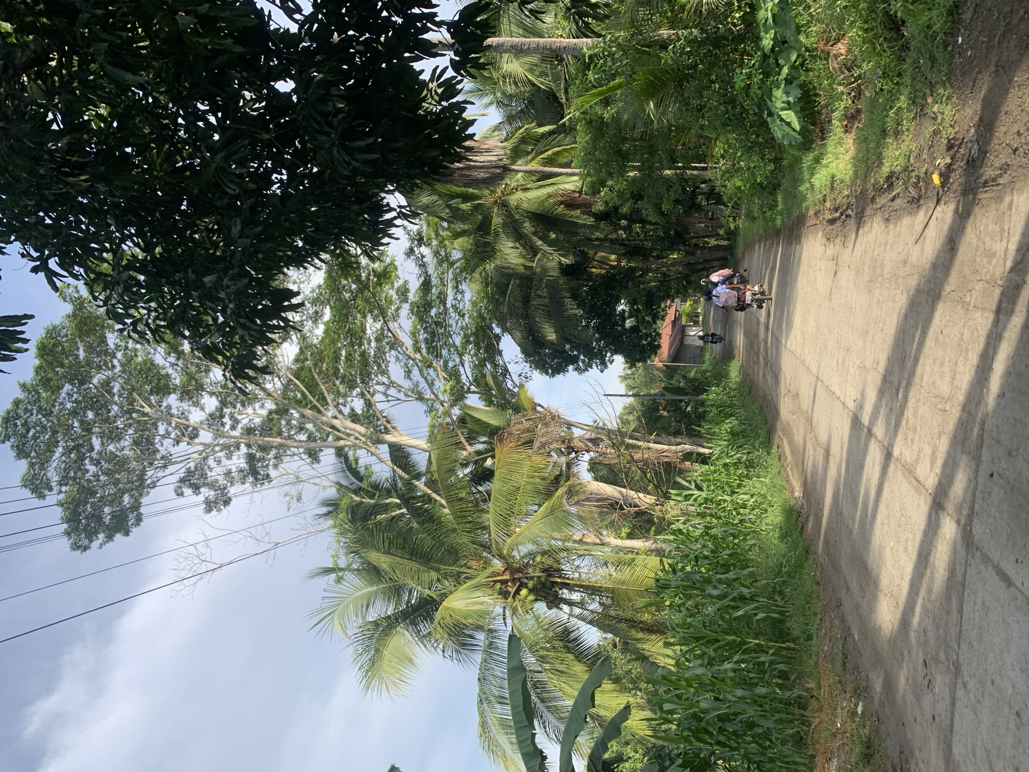 Rural roads and tropical greenery in Kiblawan, Philippines