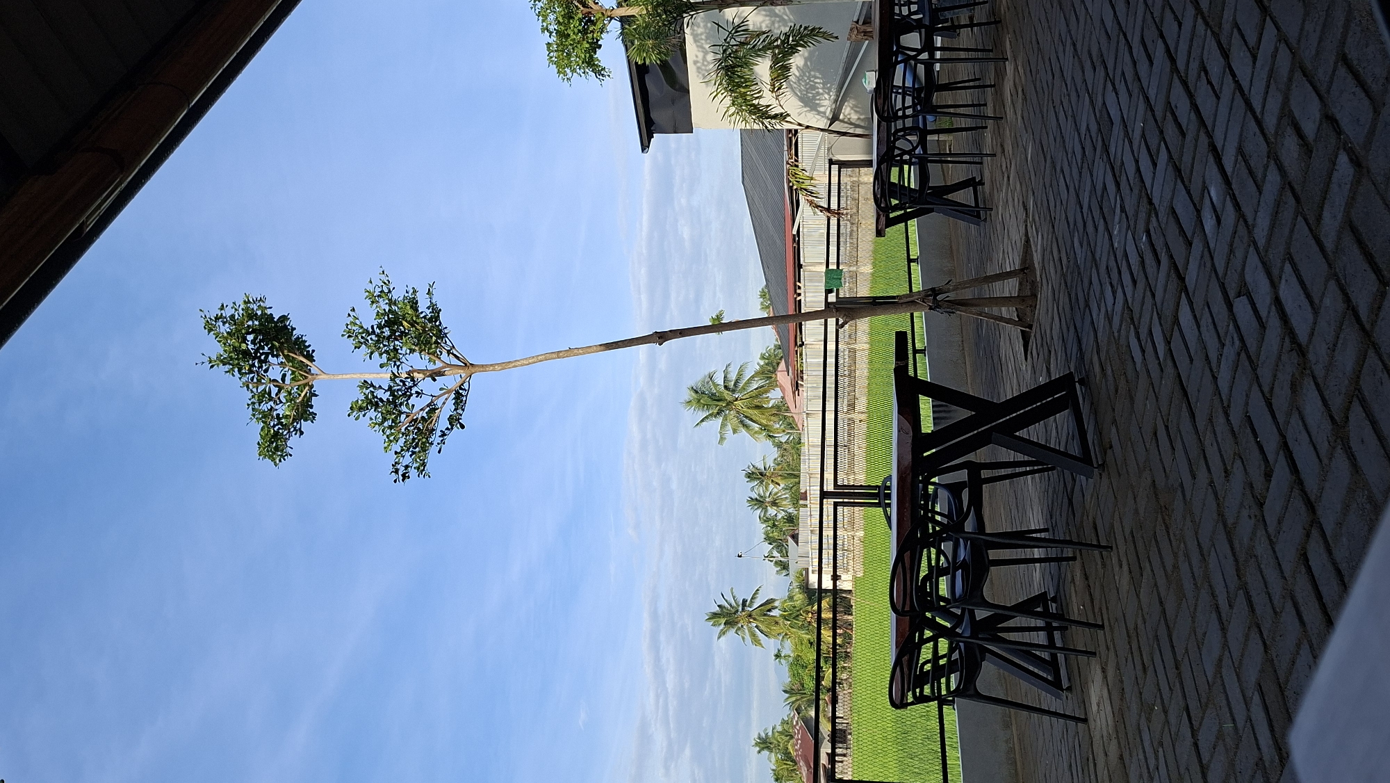 Cafe patio overlooks rice paddies in rural Keudebayu, Indonesia