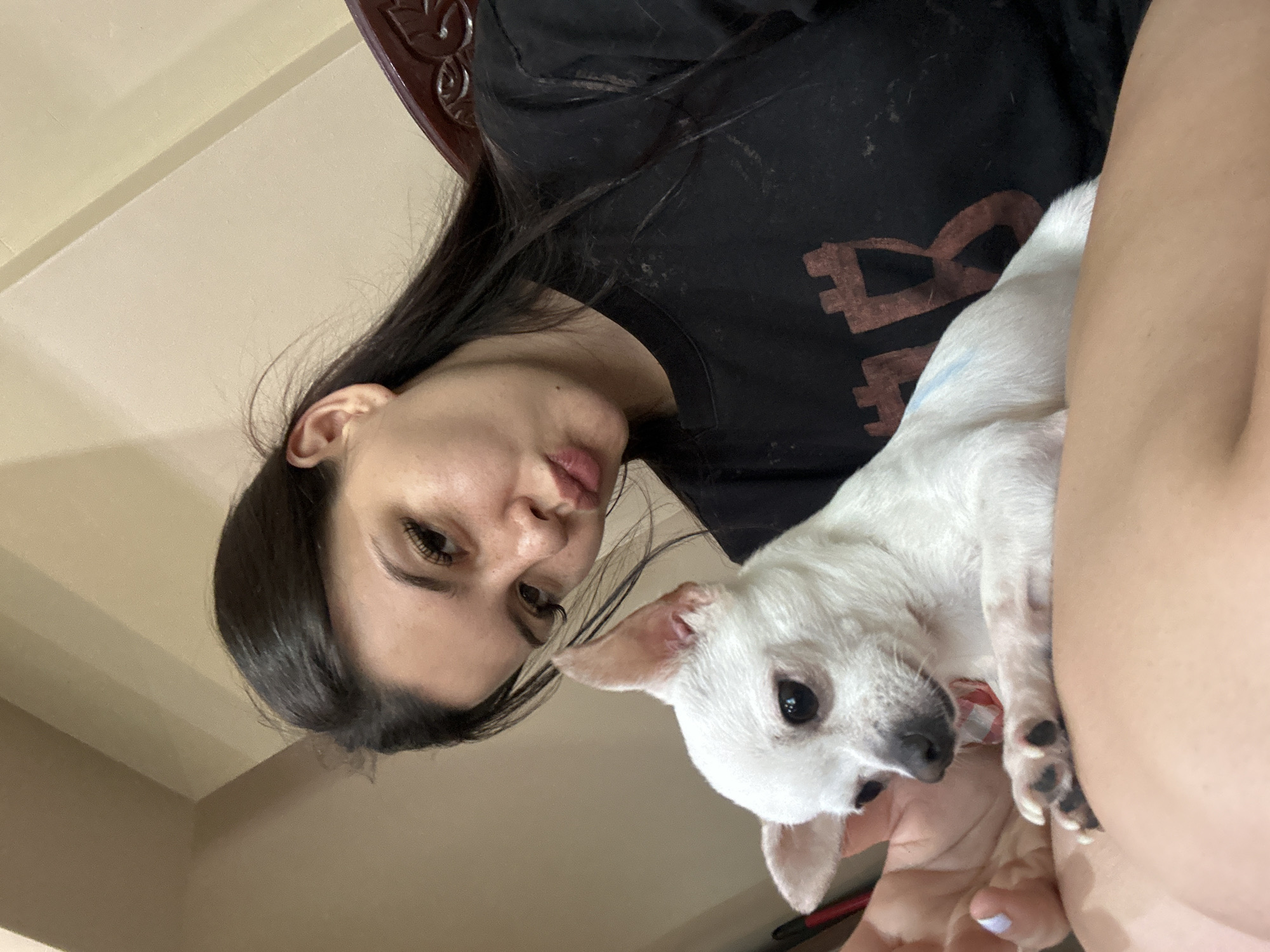 Selfie series with a white chihuahua in Sliven, Bulgaria