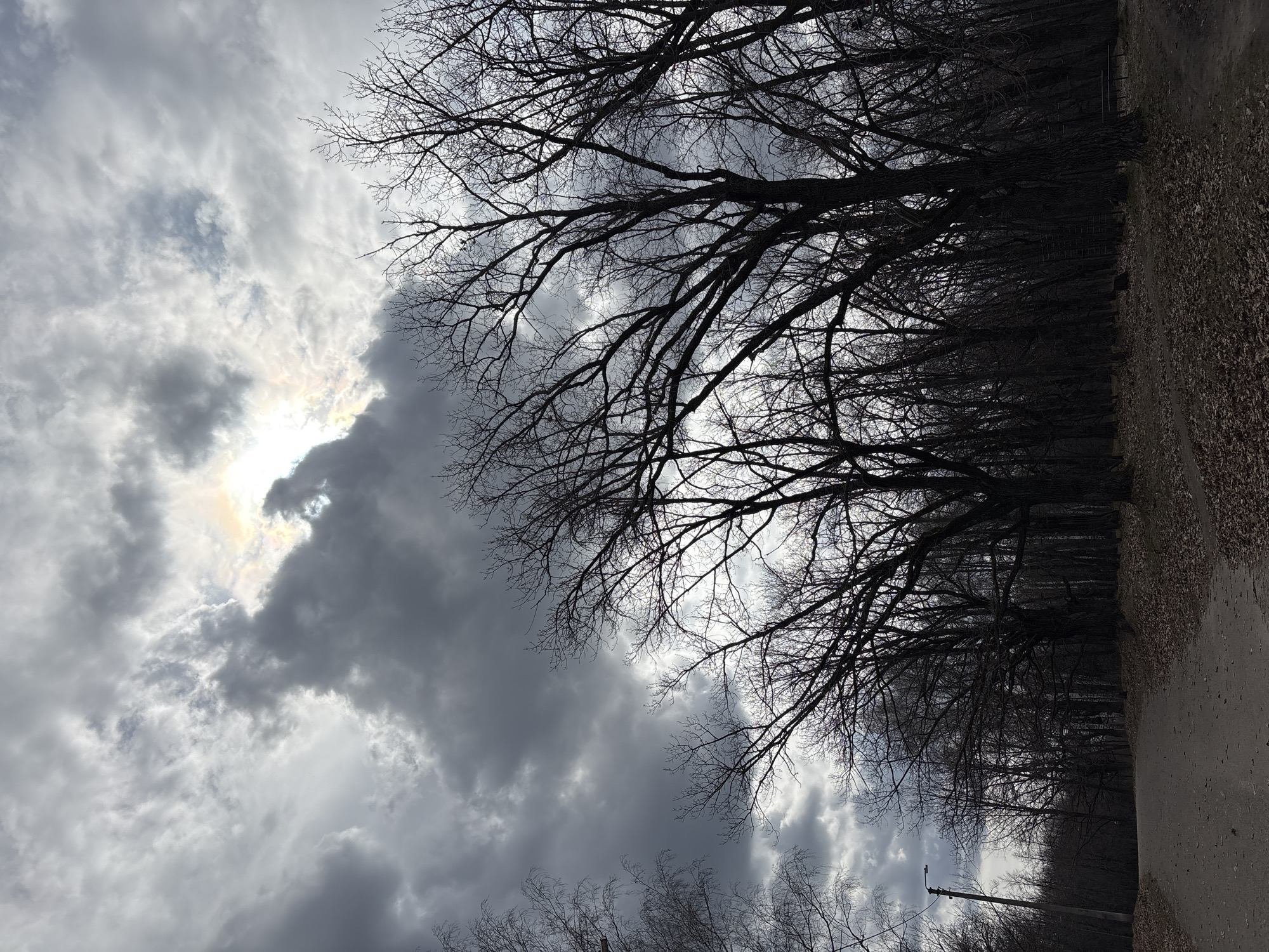 Overcast skies with sun breaks observed in Ulyanovsk
