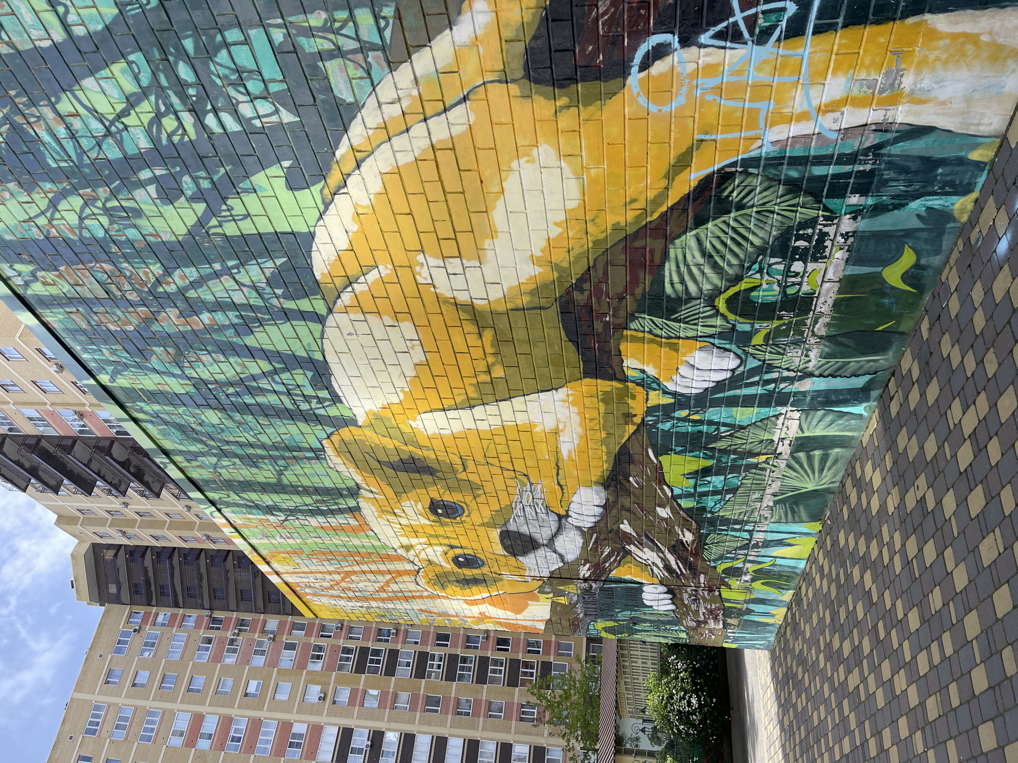 Animal murals featuring lion, elephant, panda documented in Stavropol
