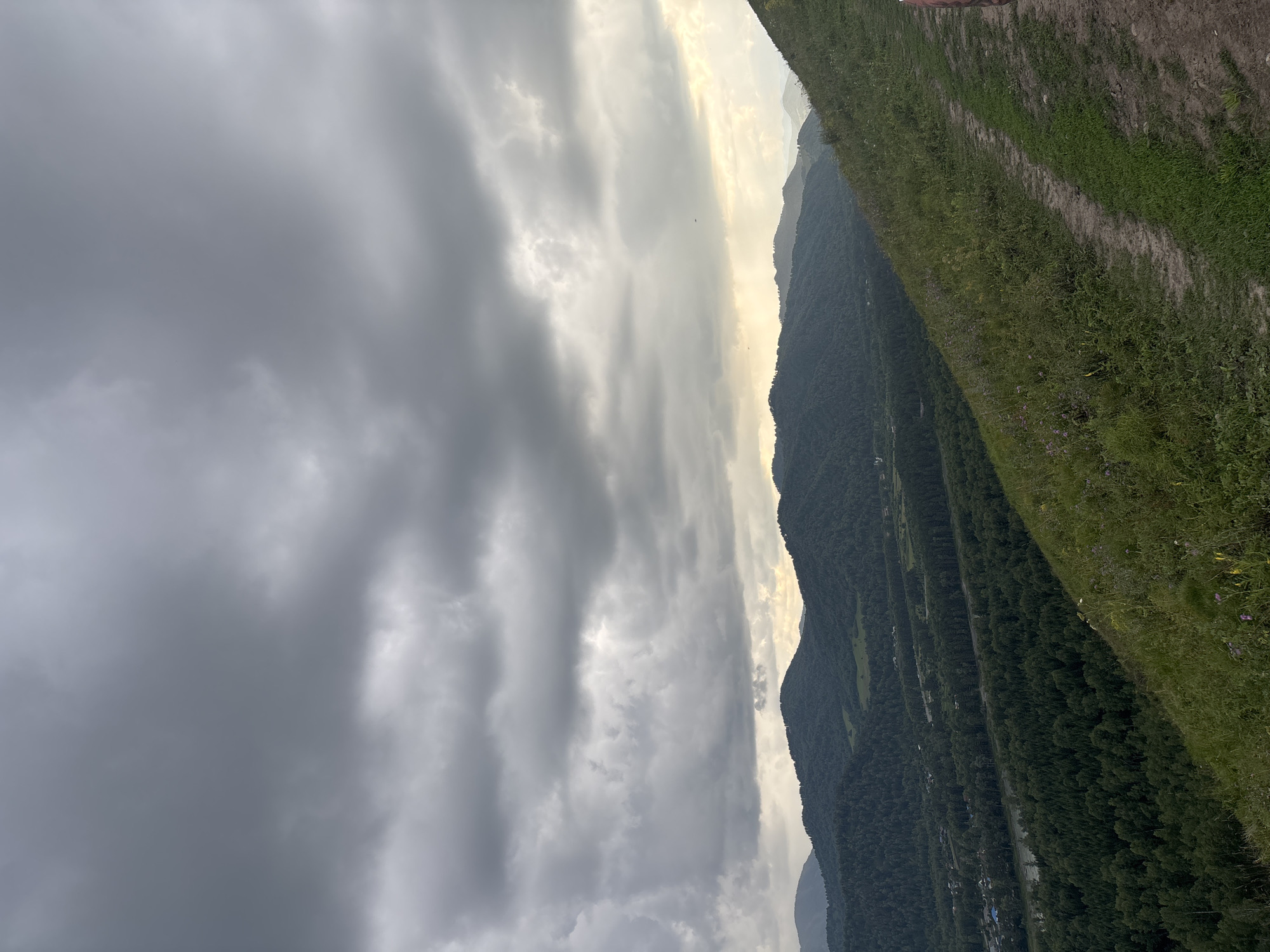 Forested hills, overcast skies, and a tagged barrel in the field