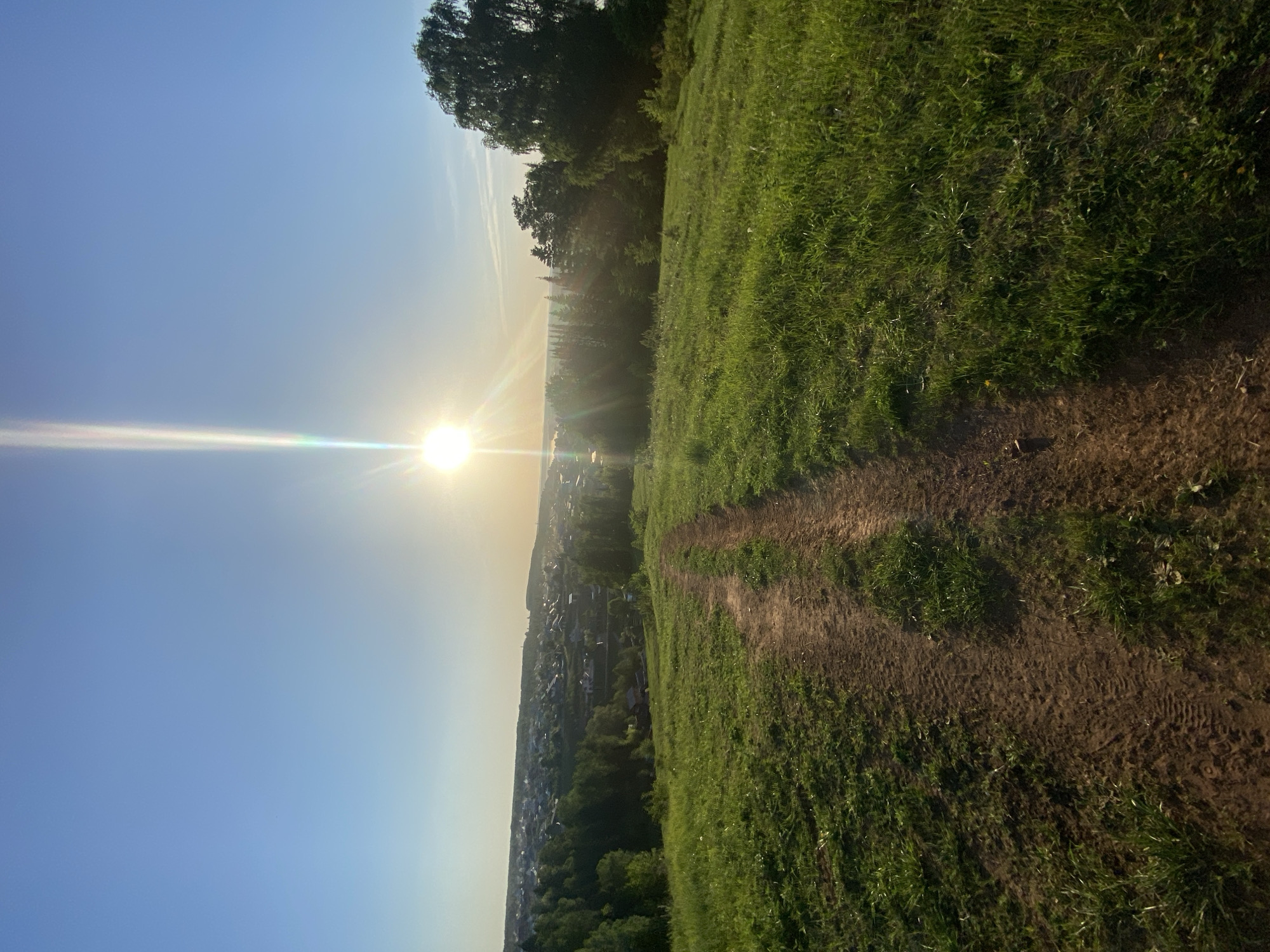 Hillside path overlooks Ольховка under low afternoon sun