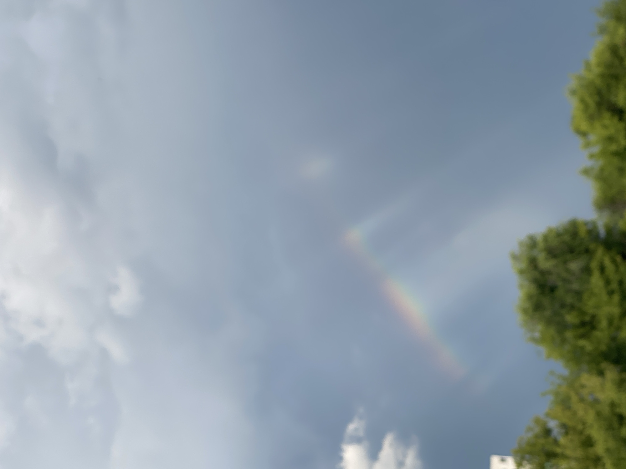 Double rainbow arching over treetops after a passing storm