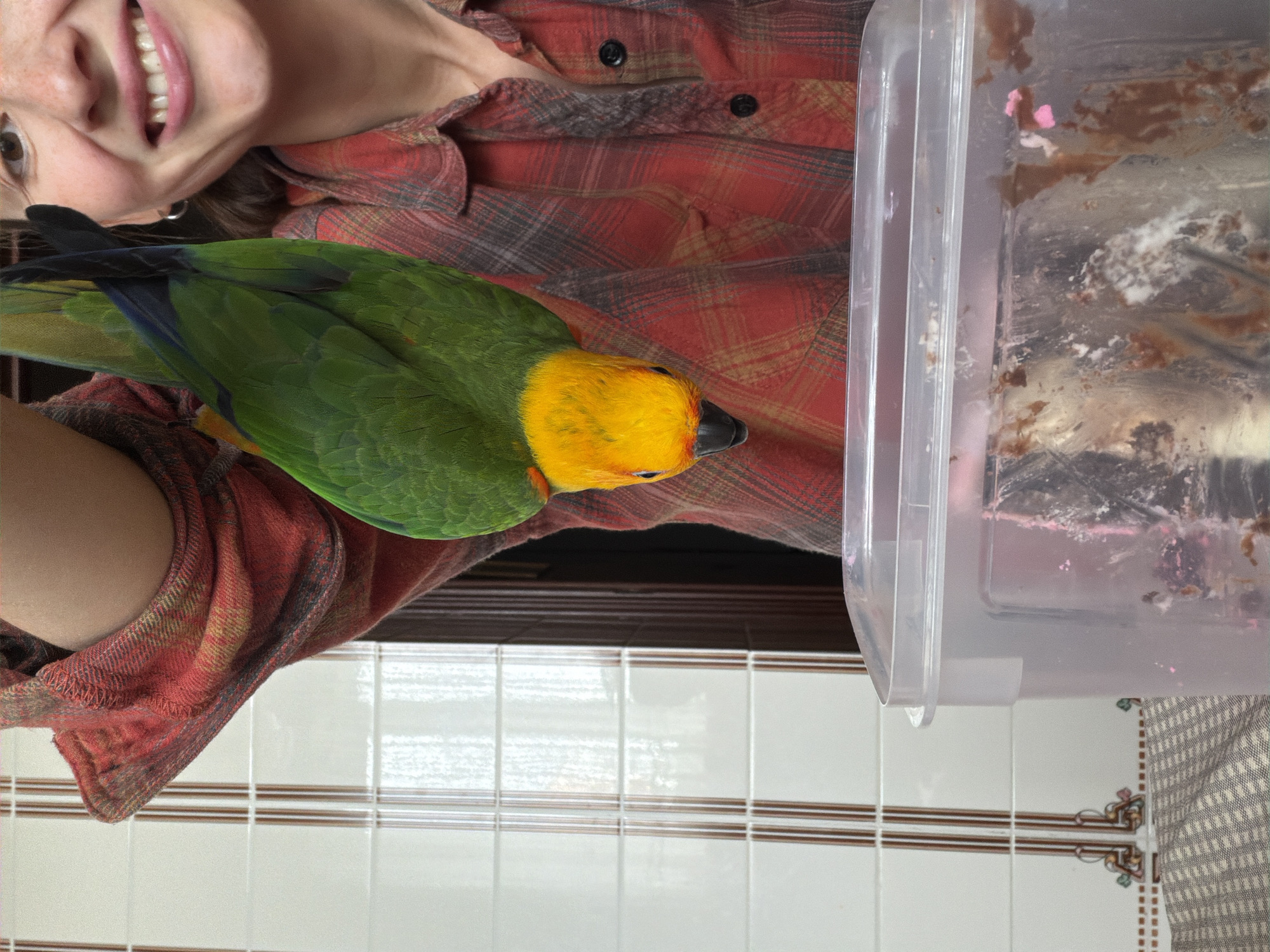 Mall visit and home moments with a parrot in Khimki