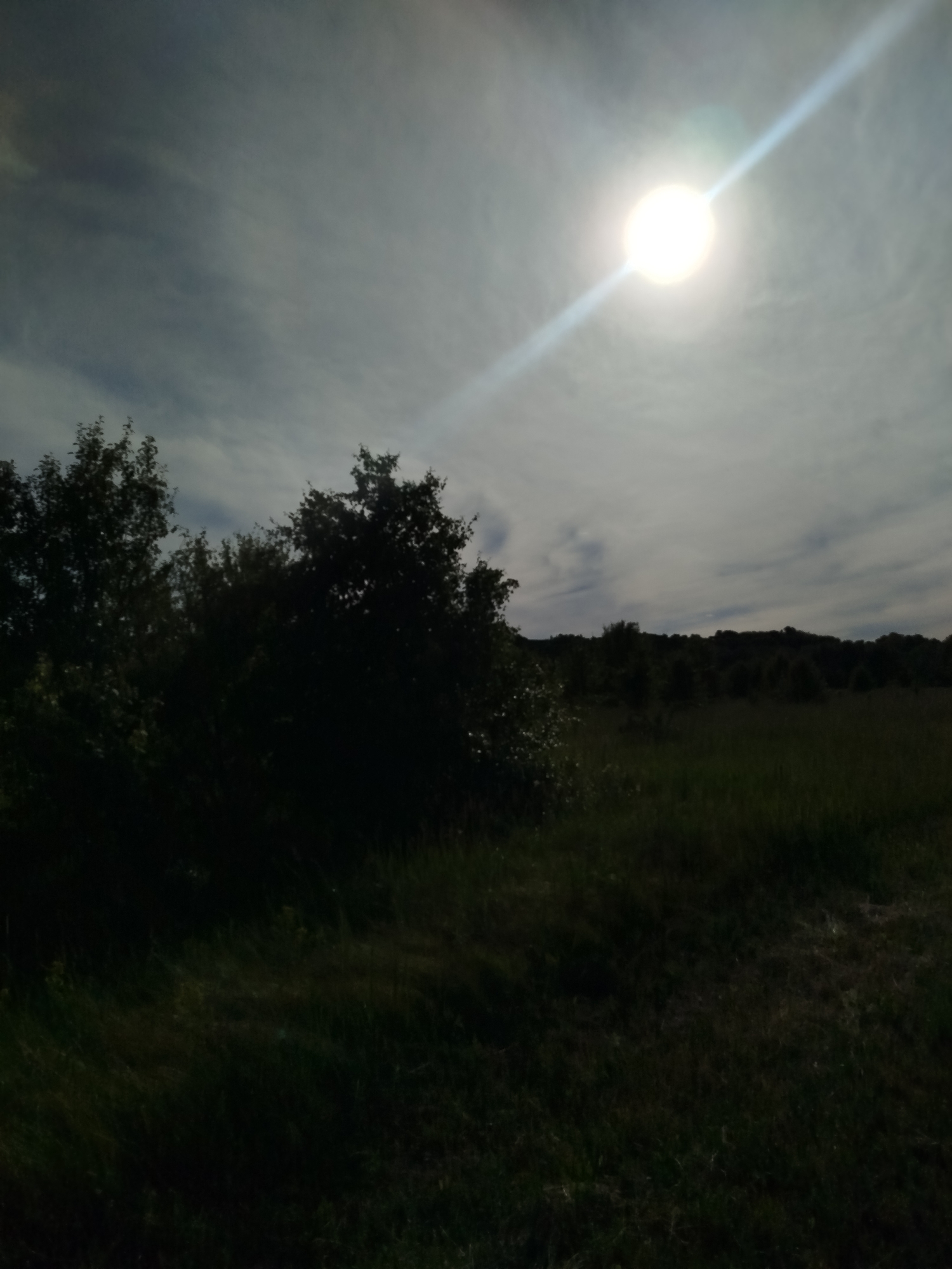 Rural Ukrainian countryside documented in afternoon meadow walk